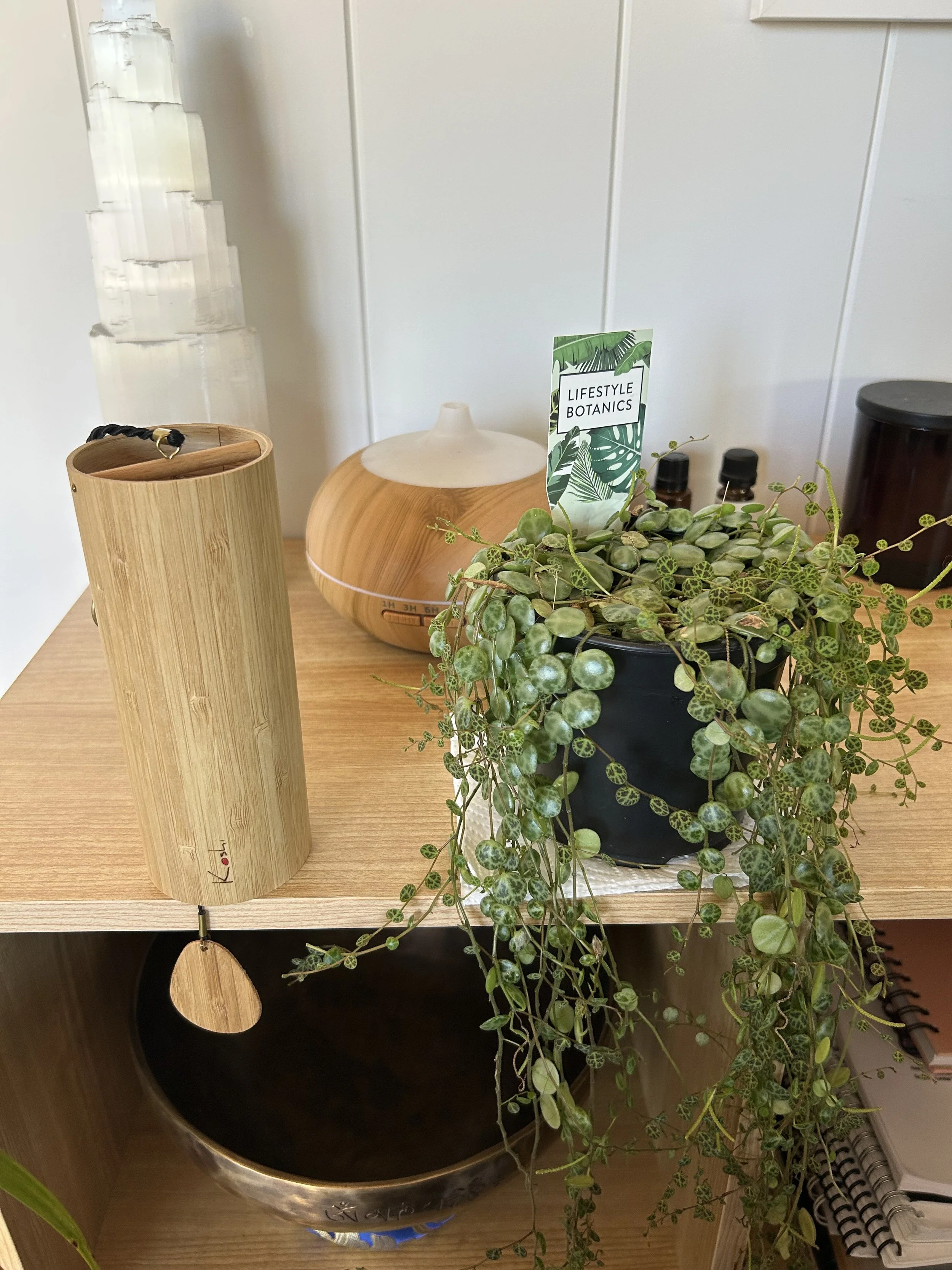 Fire in setting.jpeg