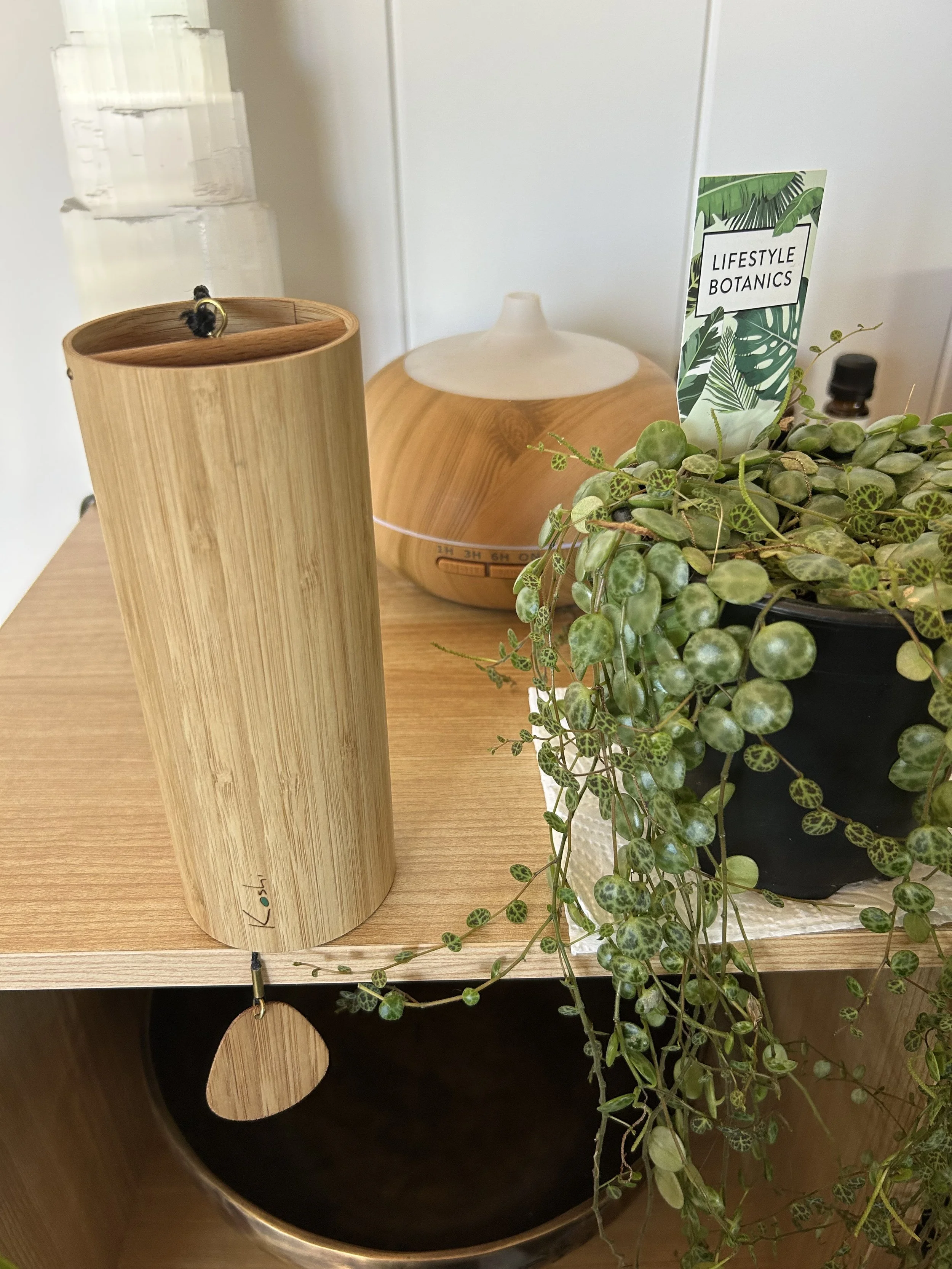 Earth in setting.jpeg