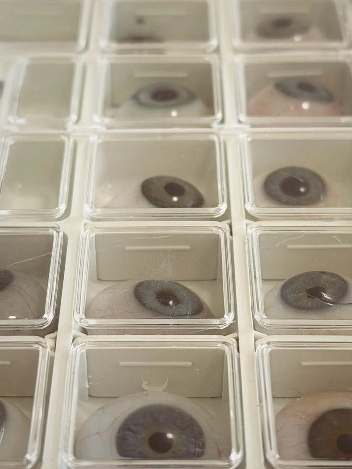 A morning in Galway clinic&hellip; brief break in the rain.
.
.

#prosthesis #artificialeye #suil #galway #wildatlanticway 

Discovered @espresso.44 👌🏻❤️