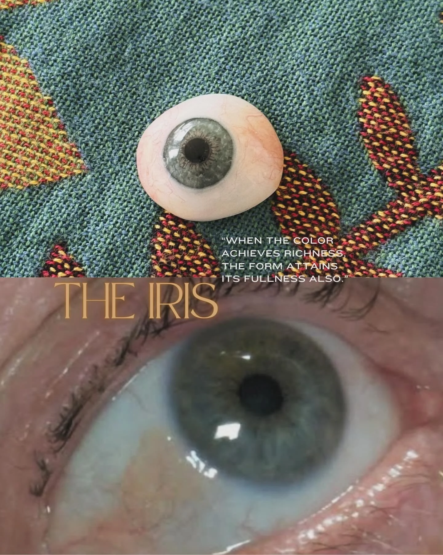 &ldquo;La nature est une chose, et la couleur est une autre&rdquo;

#artificialeye #prosthesis #eye #iris