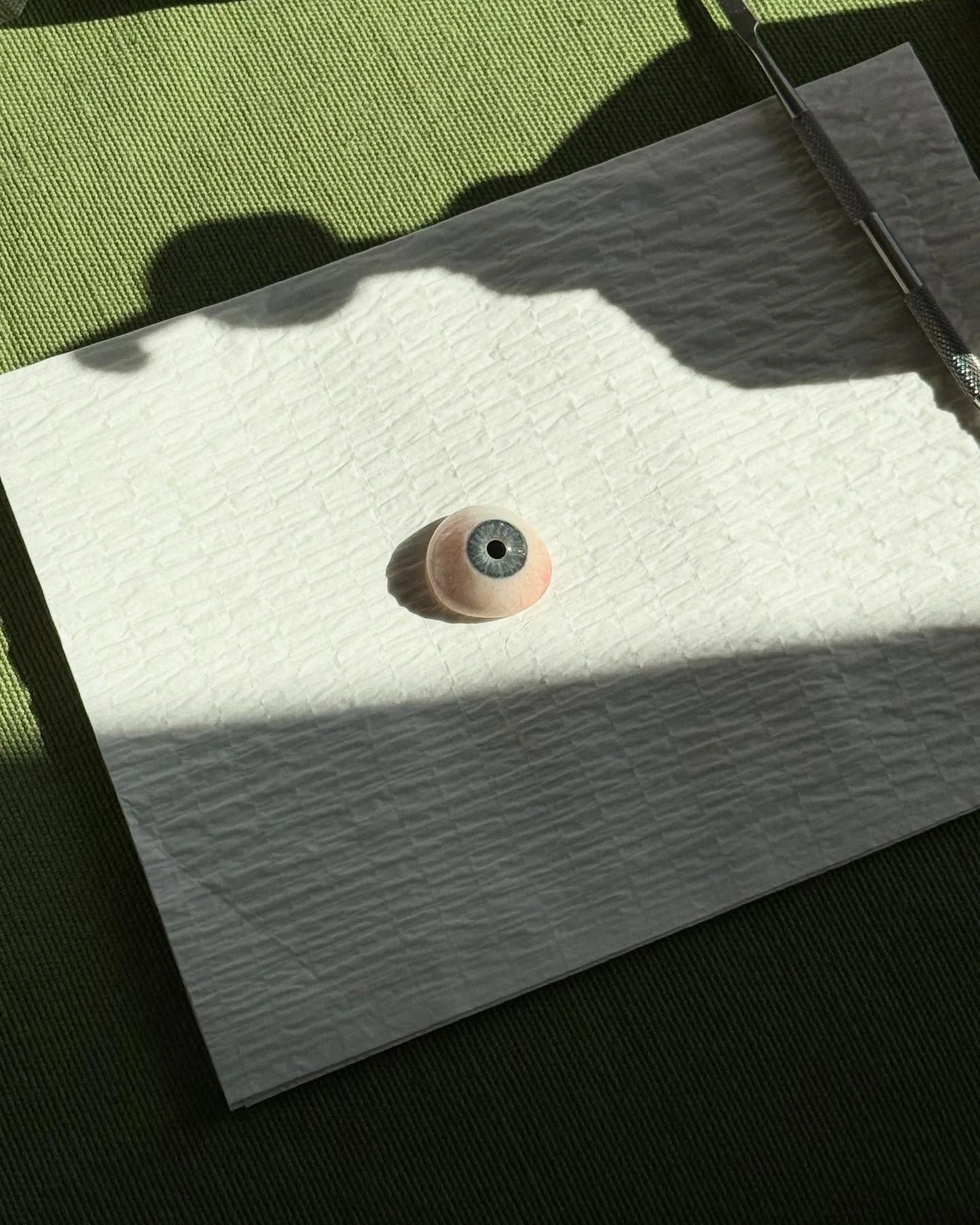 &ldquo;Keep your face always towards the sunshine, and shadows will fall behind you.&rdquo;
.
.
.
#prosthesis #ocularhealth #iris #sunshine