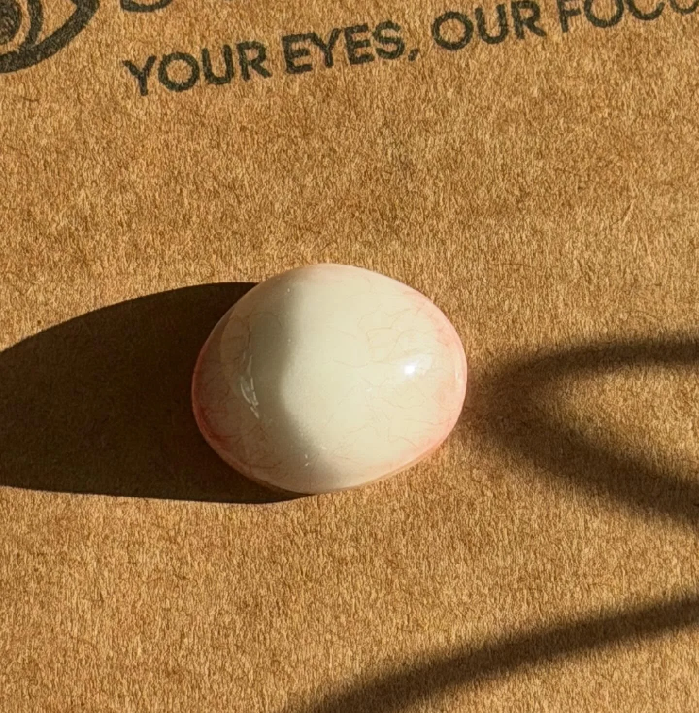 A fleeting brush of sunshine on an unusual prosthesis - a quiet reminder that even the unexpected can hold moments of light.
.
.
.
#artificialeye #prostheticeye #suil