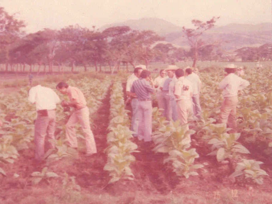 Tabacalera Turrent Tobacco fiel 1970s