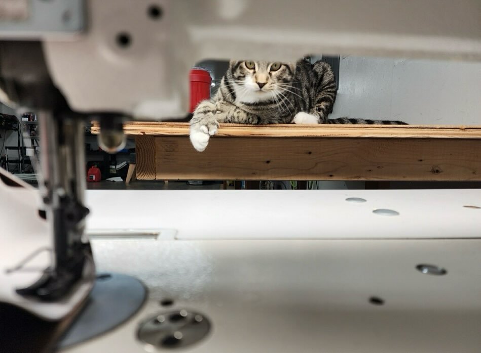 Life is better with shop pet. Meet Todd
.
.
.
#shopcat #polydactylcat #bestcatever #personalassitant #catdad