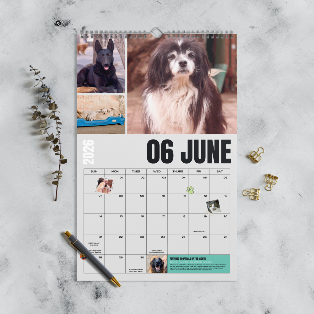 wall-calendar-(blank)-white-11x17-front-69337c23521d7.png