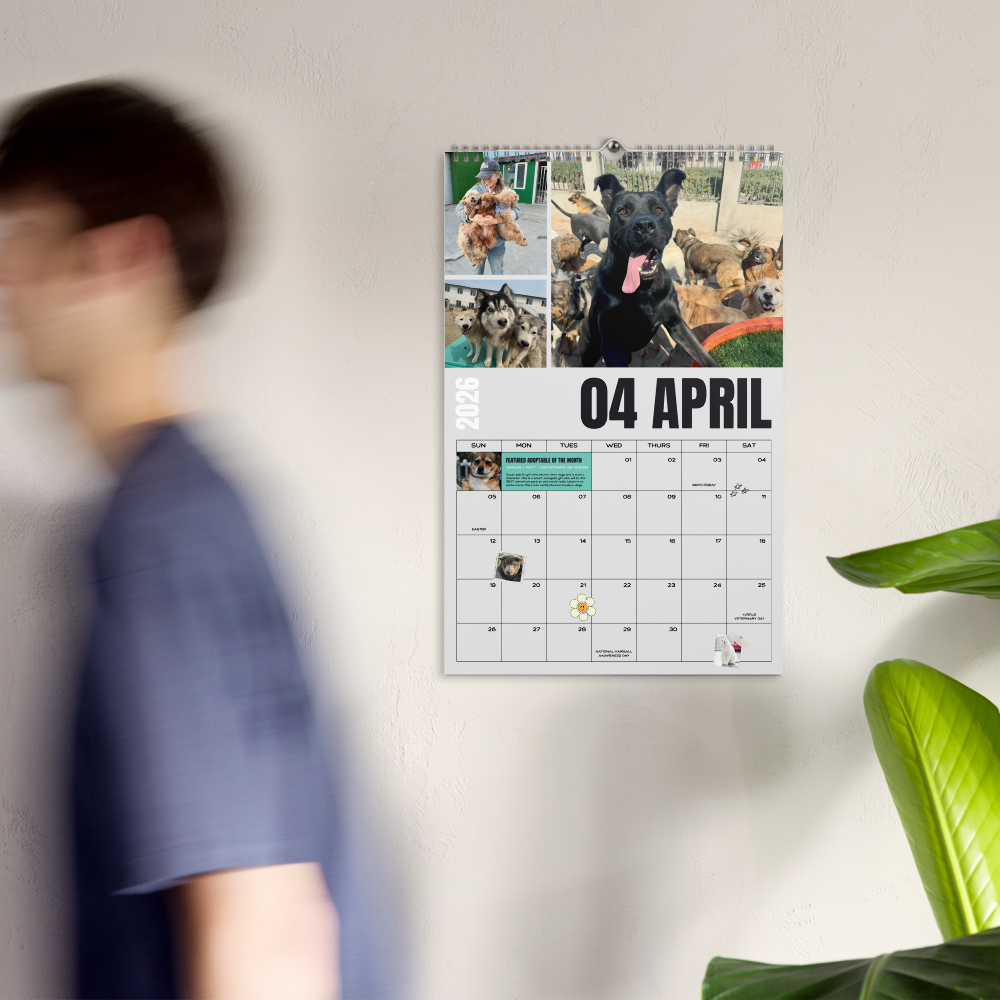 SHS 2026 Wall Calendar