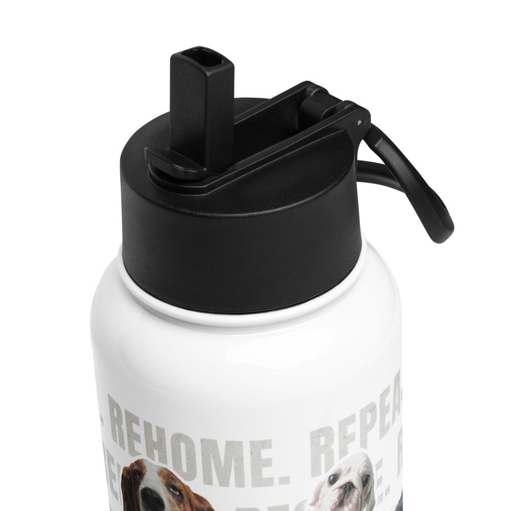SHS Stainless Steel Water Bottle with a Straw Lid