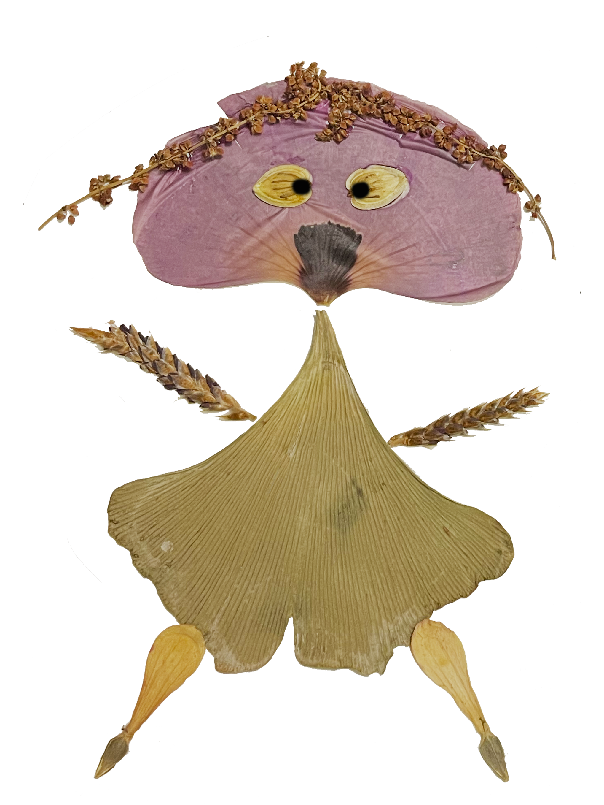 IMG 36.png