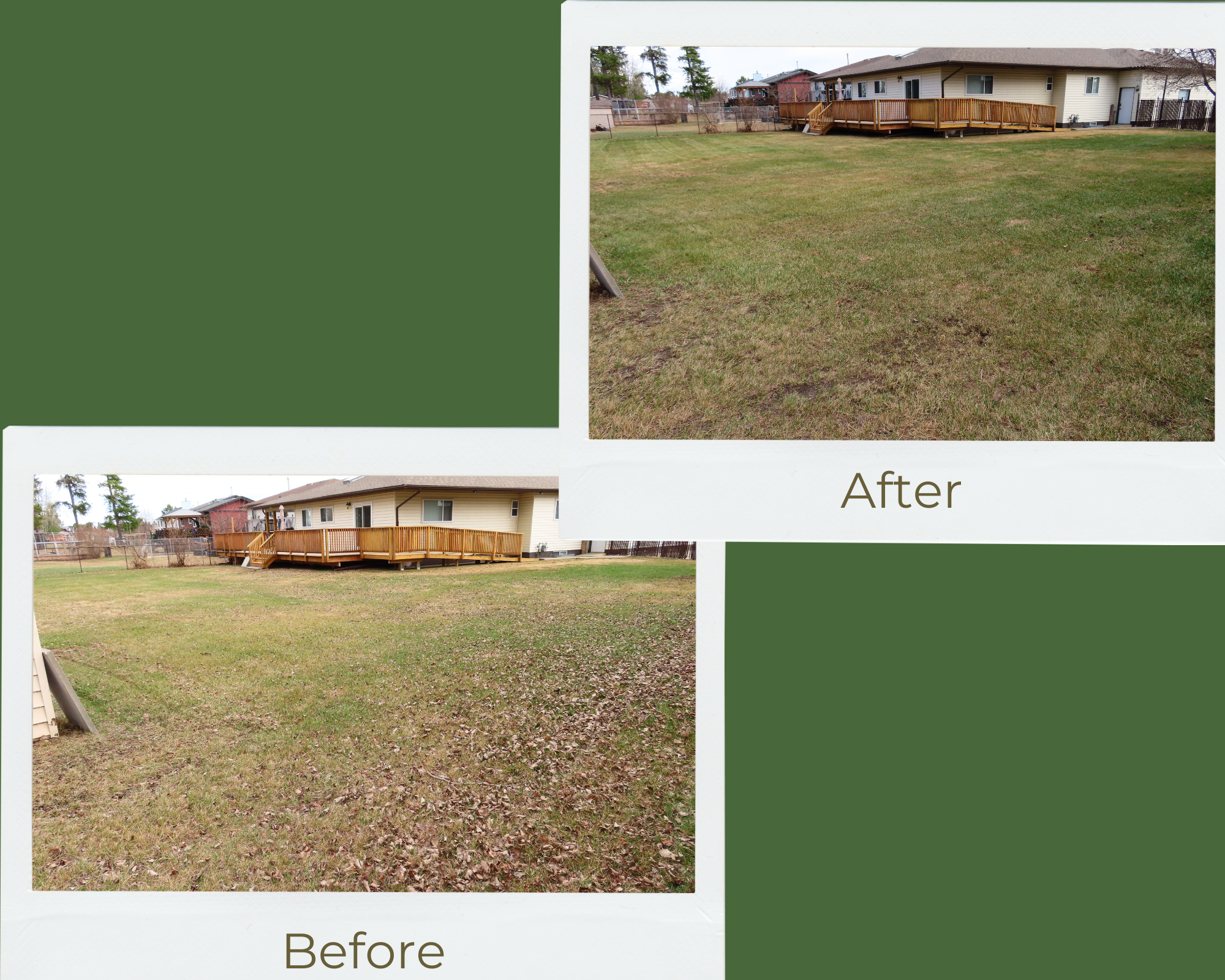 Website beforeafter.PNG