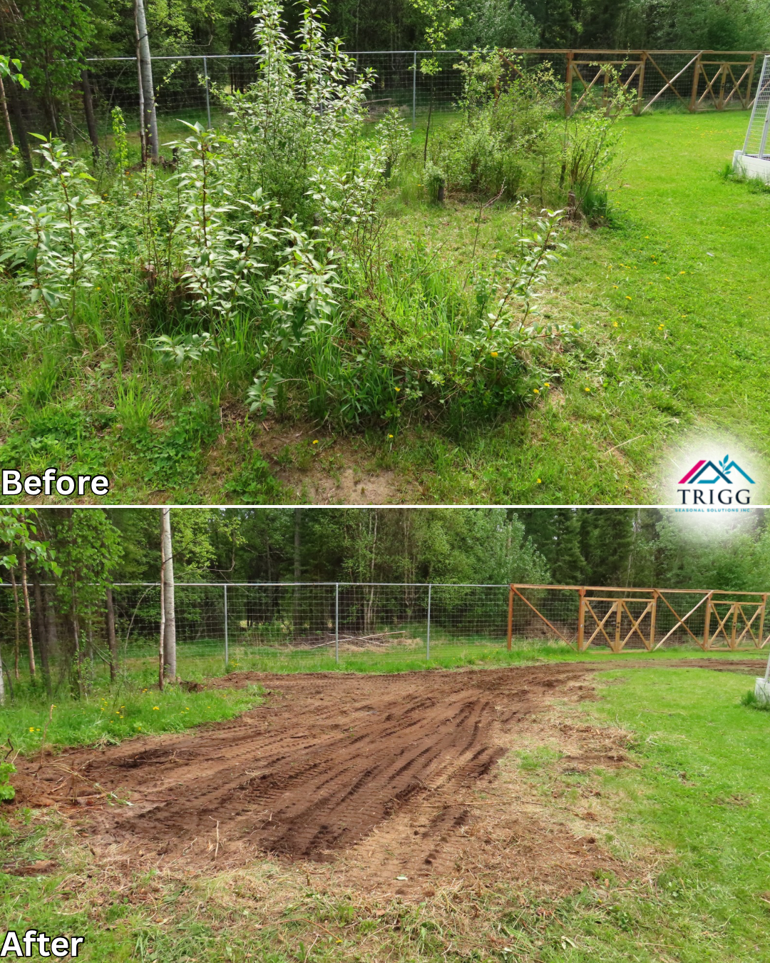 One time projects beforeafter - 2.PNG