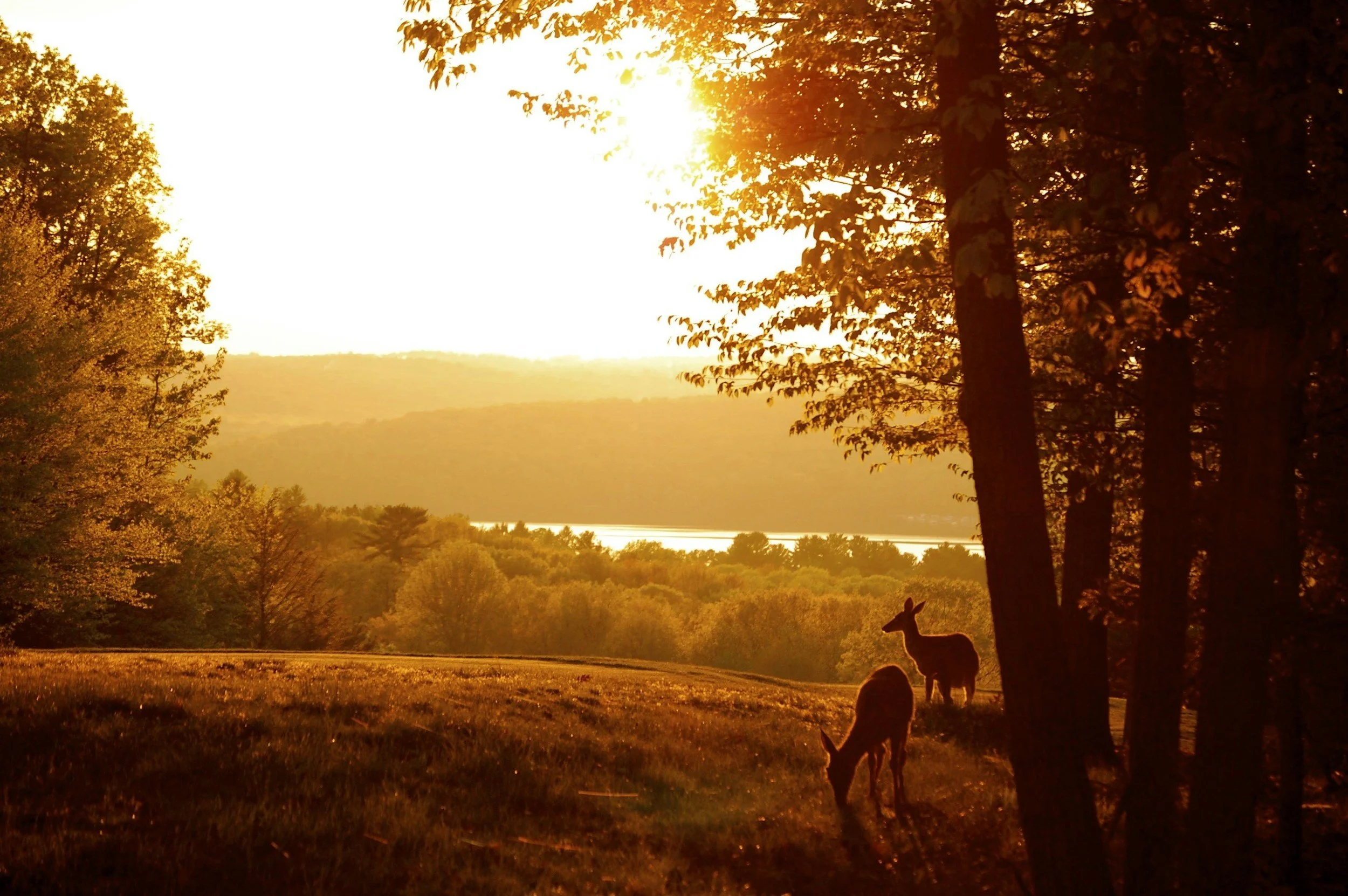 Pennsylvania nature scene