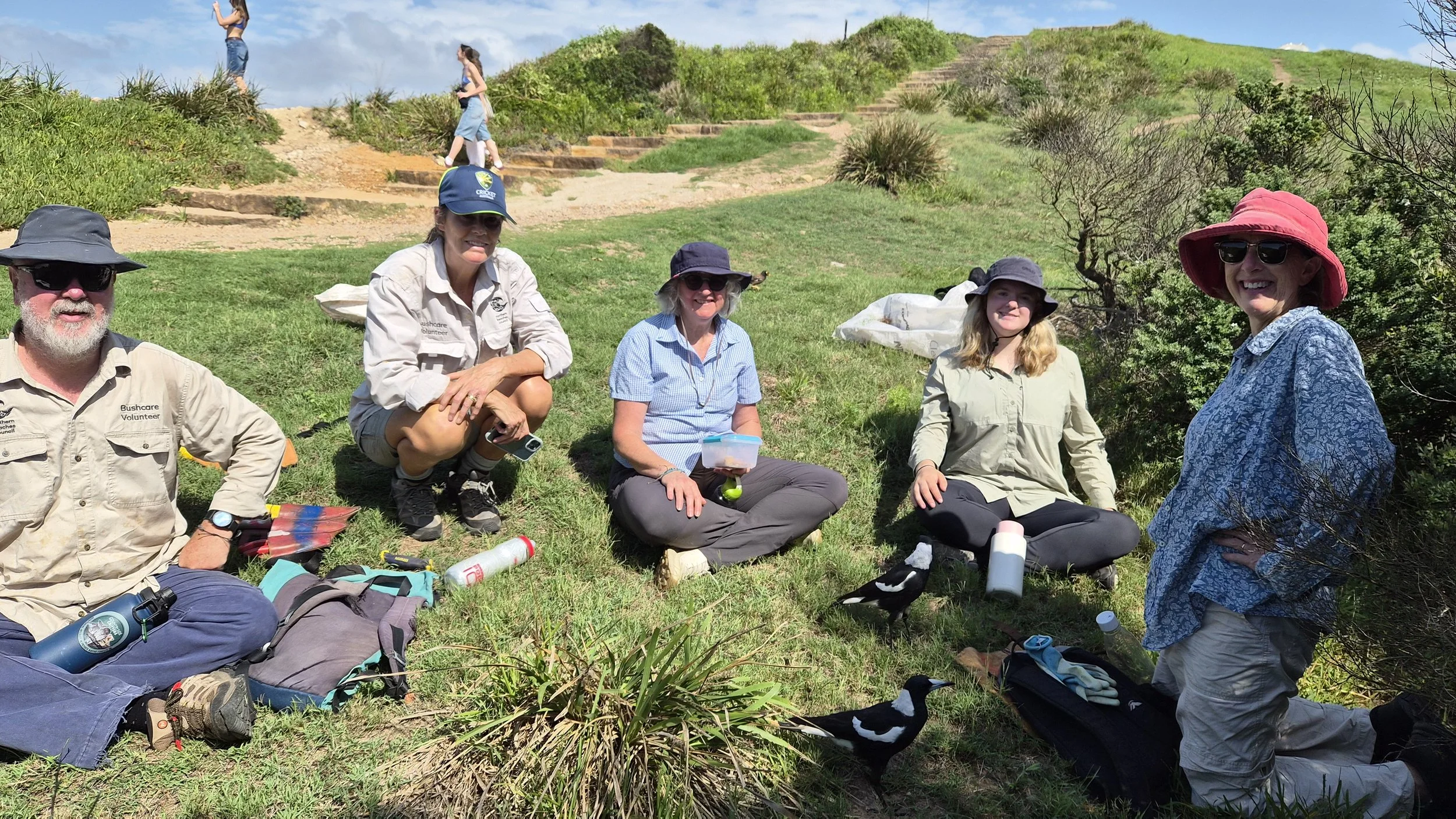 Reefcare Report: Weeding in the Top 