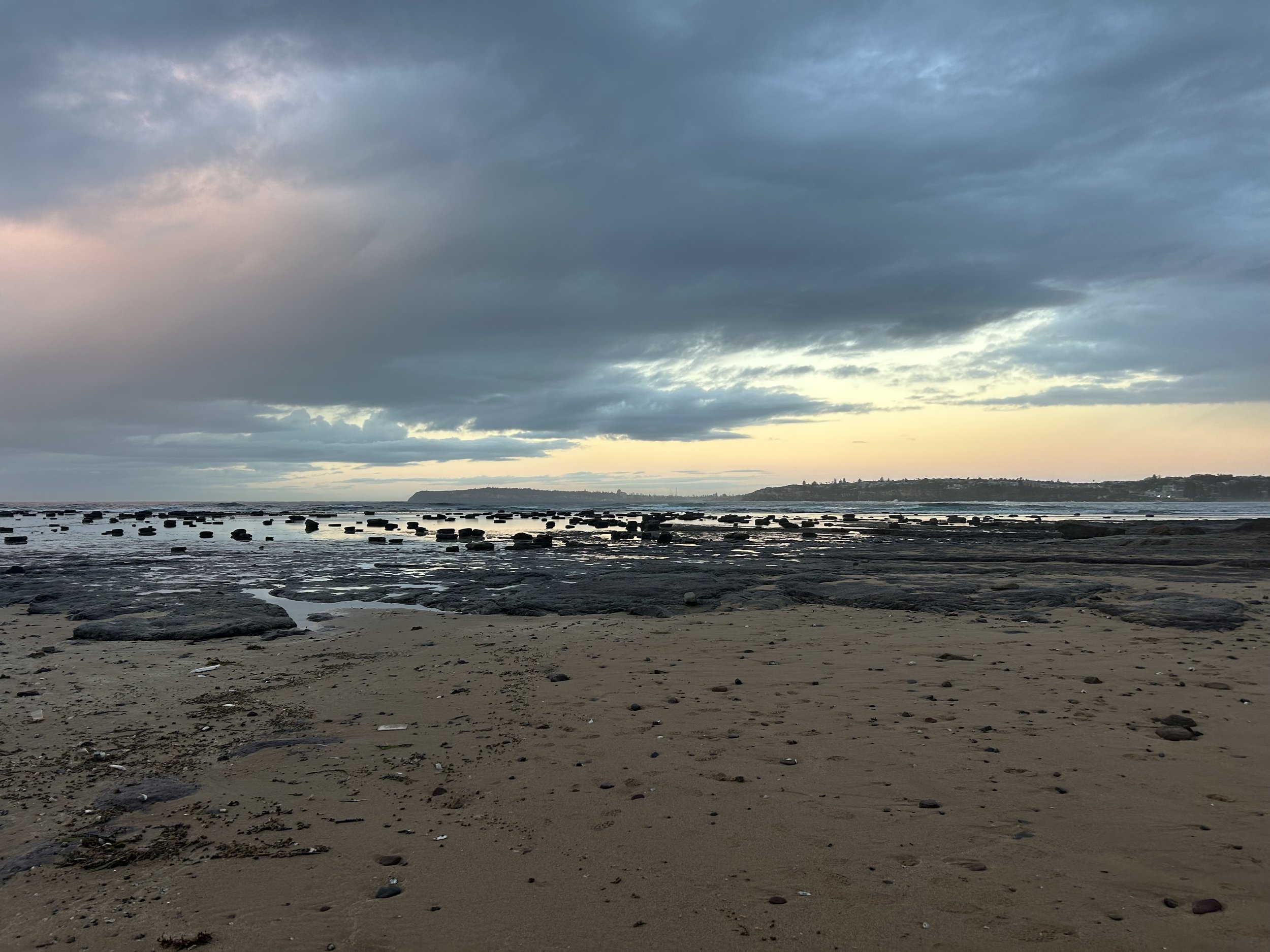 Secrets of the reef: life on Long Reef uncovered