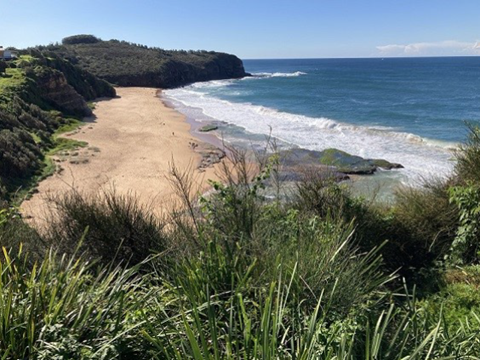 North Narrabeen Headland Field Day
