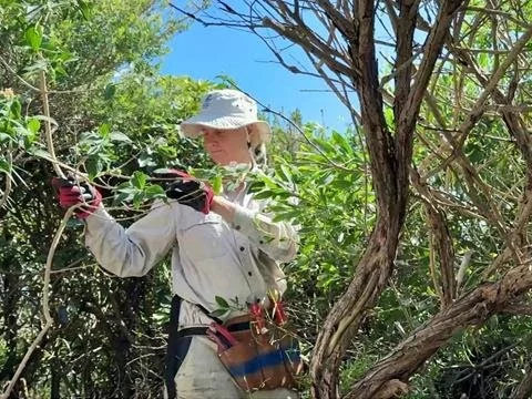 Bushcare Training Day