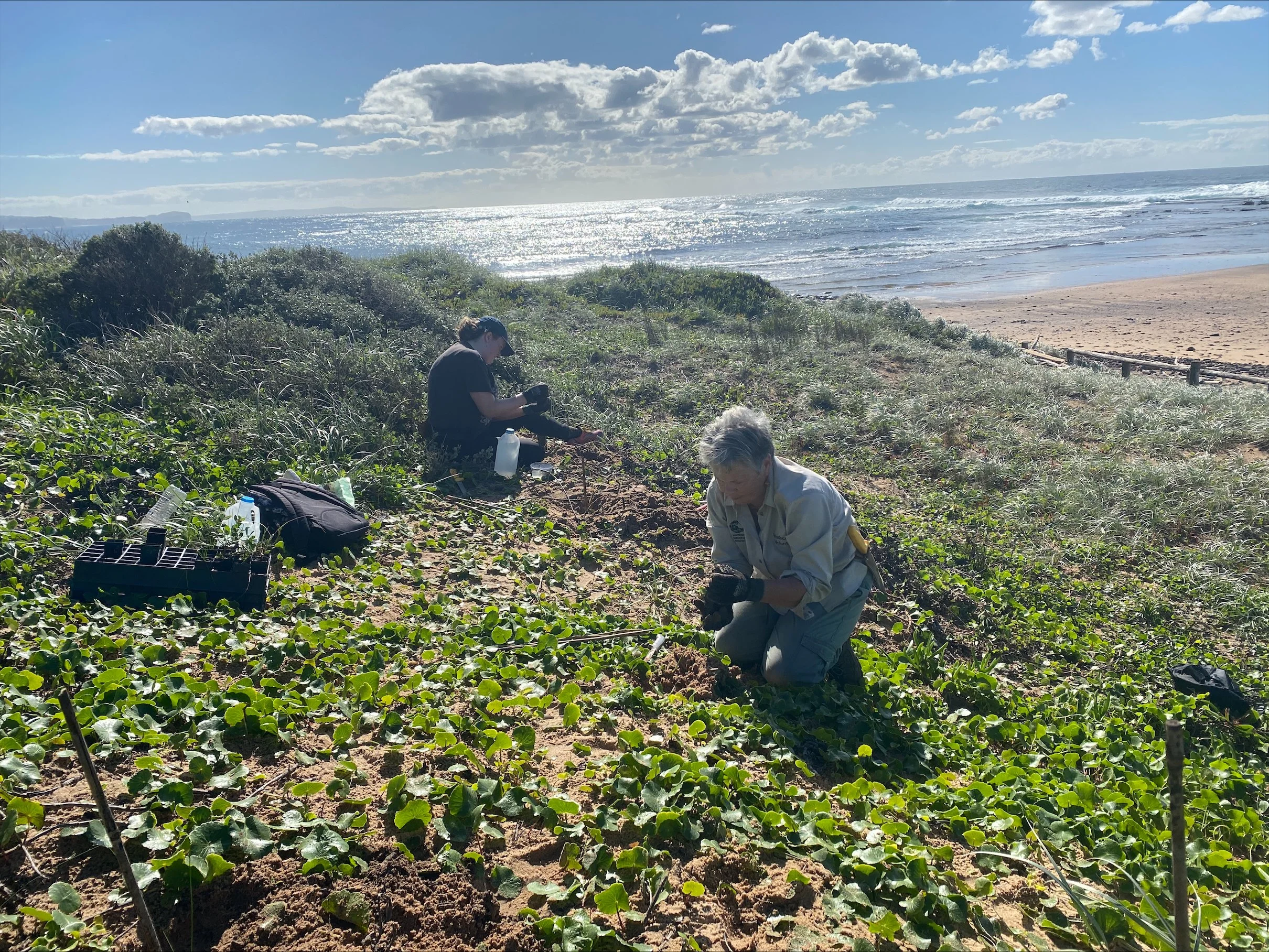 reefcare-longreef-volunteers-misima-lisa-planting-may-2025.jpeg