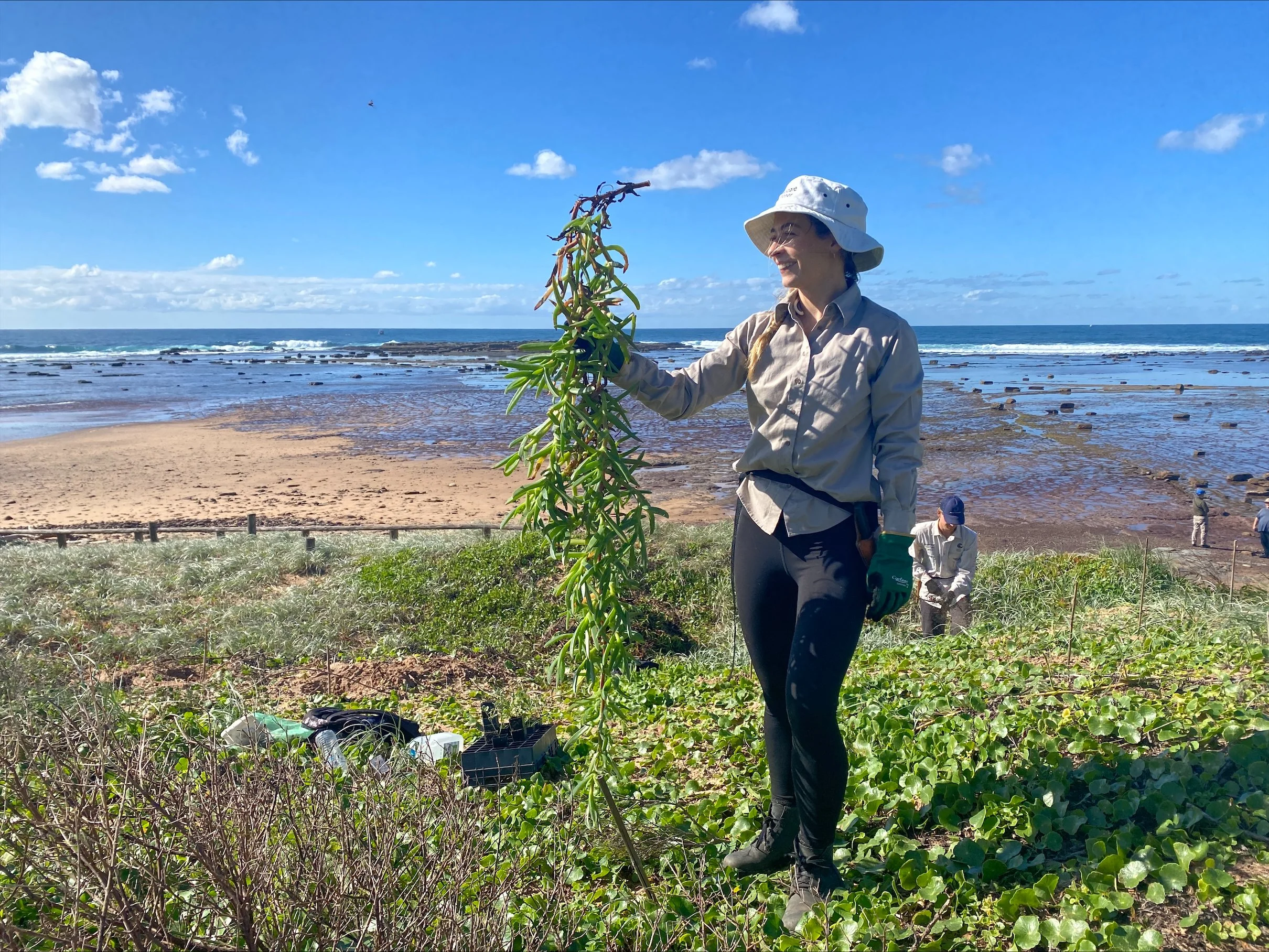 reefcare-longreef-volunteer-denise-holding-up-long-pigsface-pulled-may-2025.jpeg