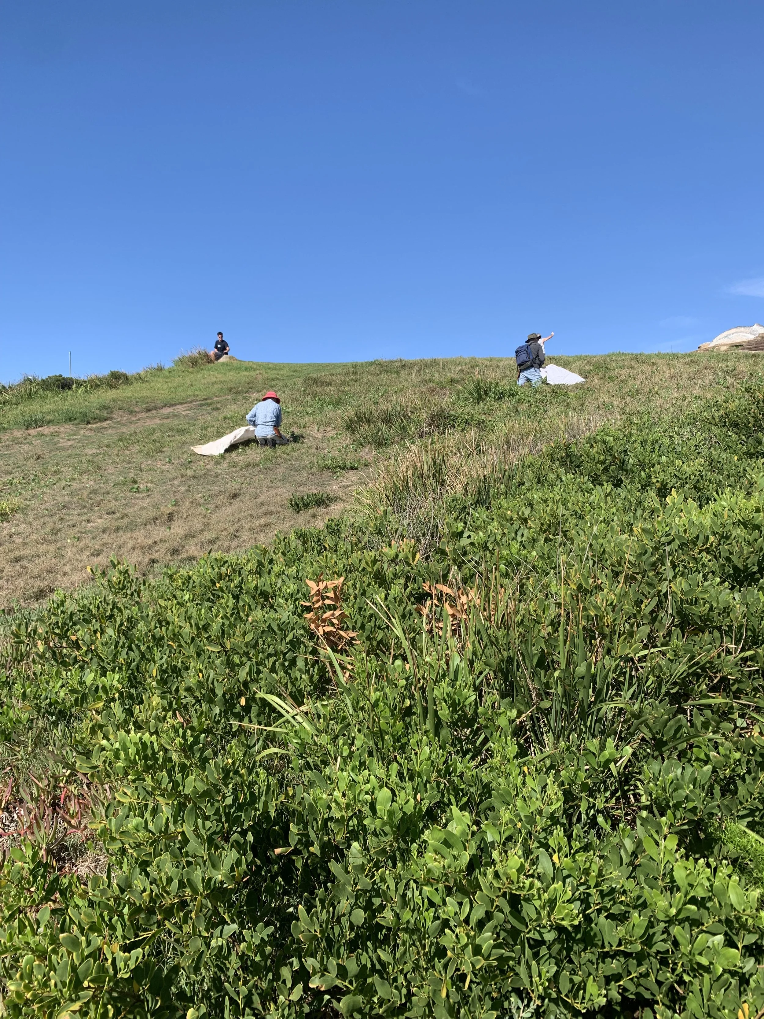 Jim and Jennie weeding Asparagus fern.jpg