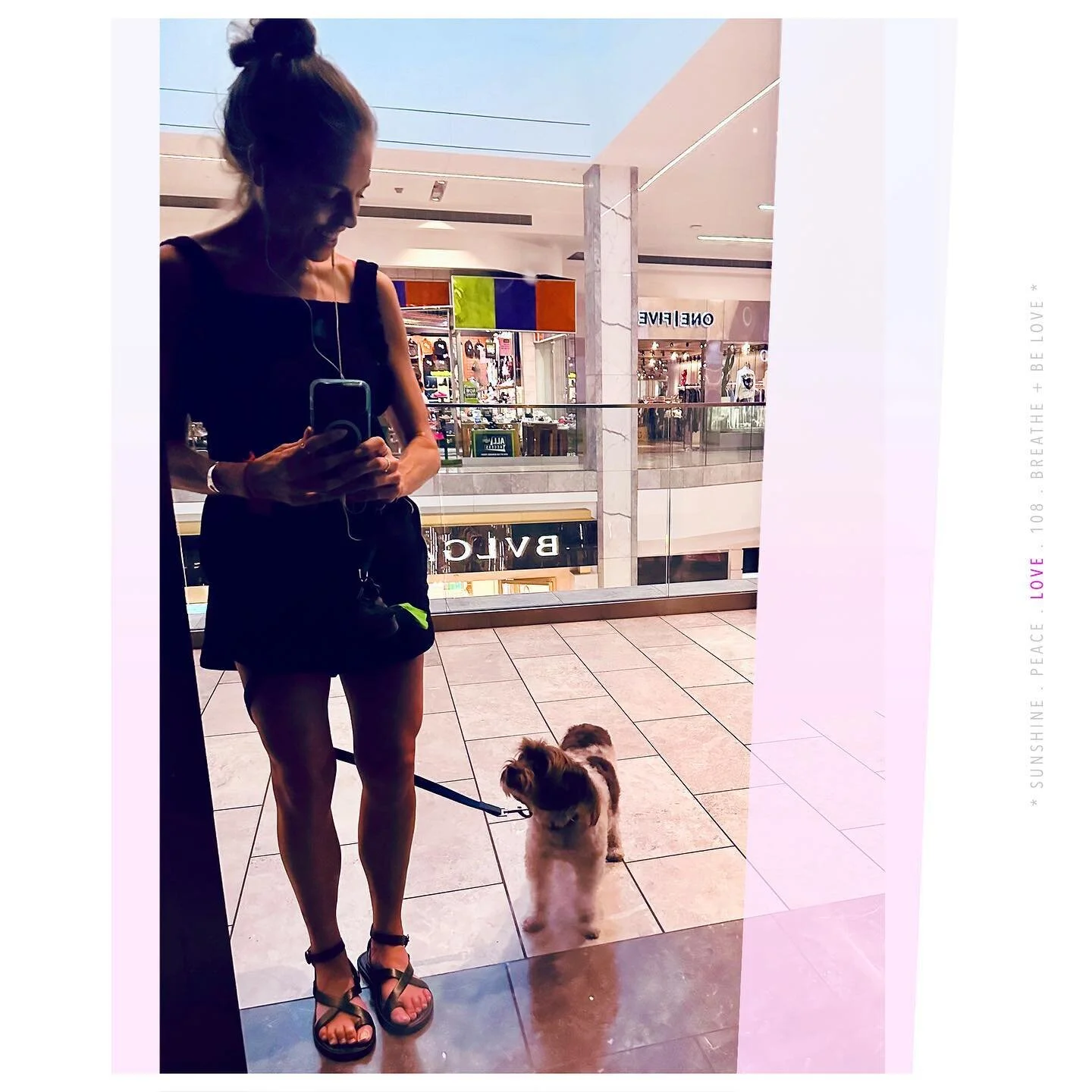 &hellip; that doggie in the window?
the one with the waggly tail &mdash;
his name is Kevin + his love is unconditional, never for sale 💙
*
thanks Amy + Dave for sharing his little*big heart { 💞💞💞 }
*
*
*
*
*
*
*
#adventuresinpuppysitting #lovelov