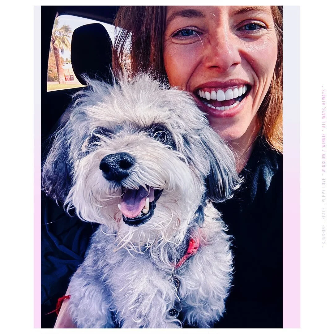 🌈👑🐶💖✨the Rainbow Bridge welcomed Winnie last Friday &mdash; she left her paw-prints on a lot of hearts &hellip; 

💞 thanks @brenlala and Blake for sharing your sweet #lovepup whenever you would adventured out to share your hearts with the world 