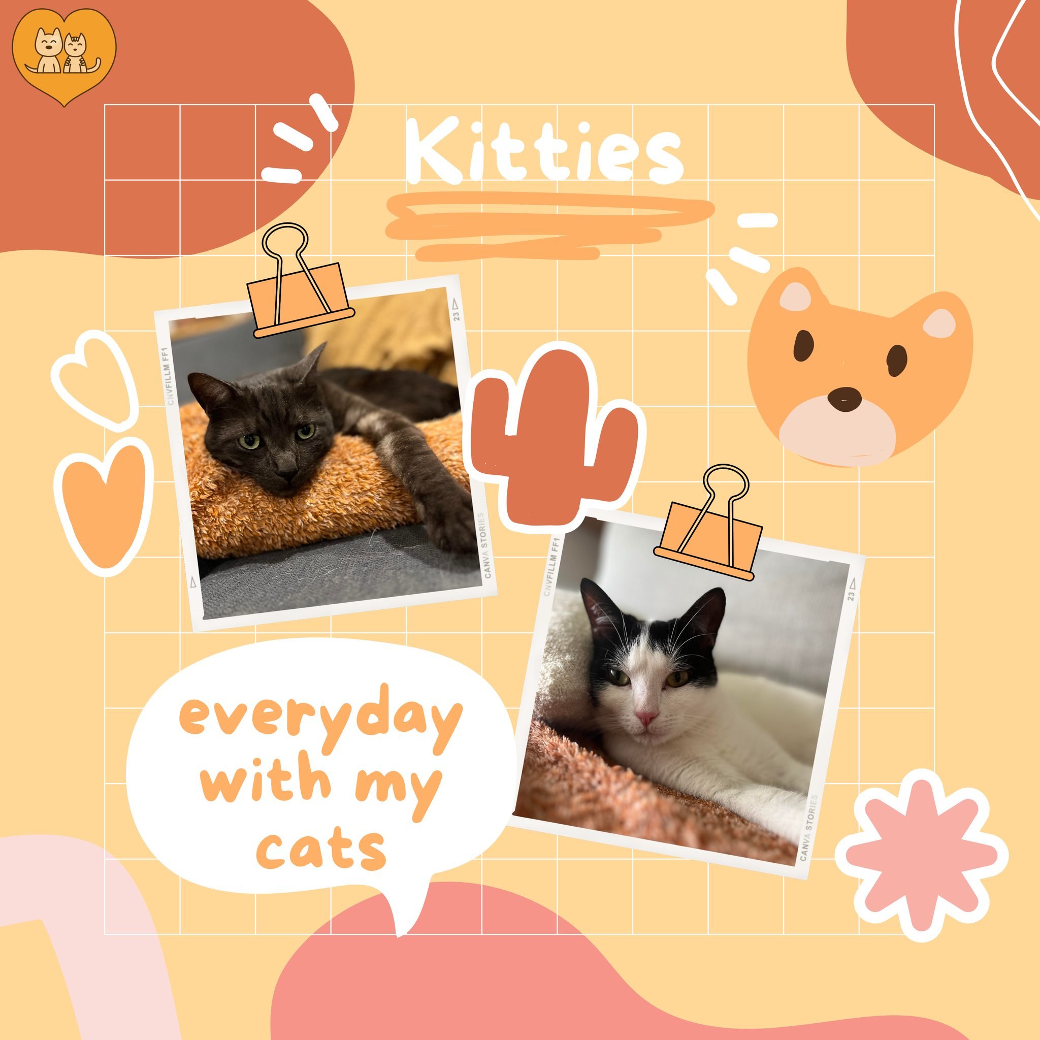 You can tell when Nurse Tiana is on socials...👀 
A big lover of all cats, but particularly her own: Kenny &amp; Rye 💛 Do you have a special kitty or two (or five?) in your life? 😻

 #LoveAndToeBeans #PetLovers #FureverMemories #LoveYourPets #FurPa