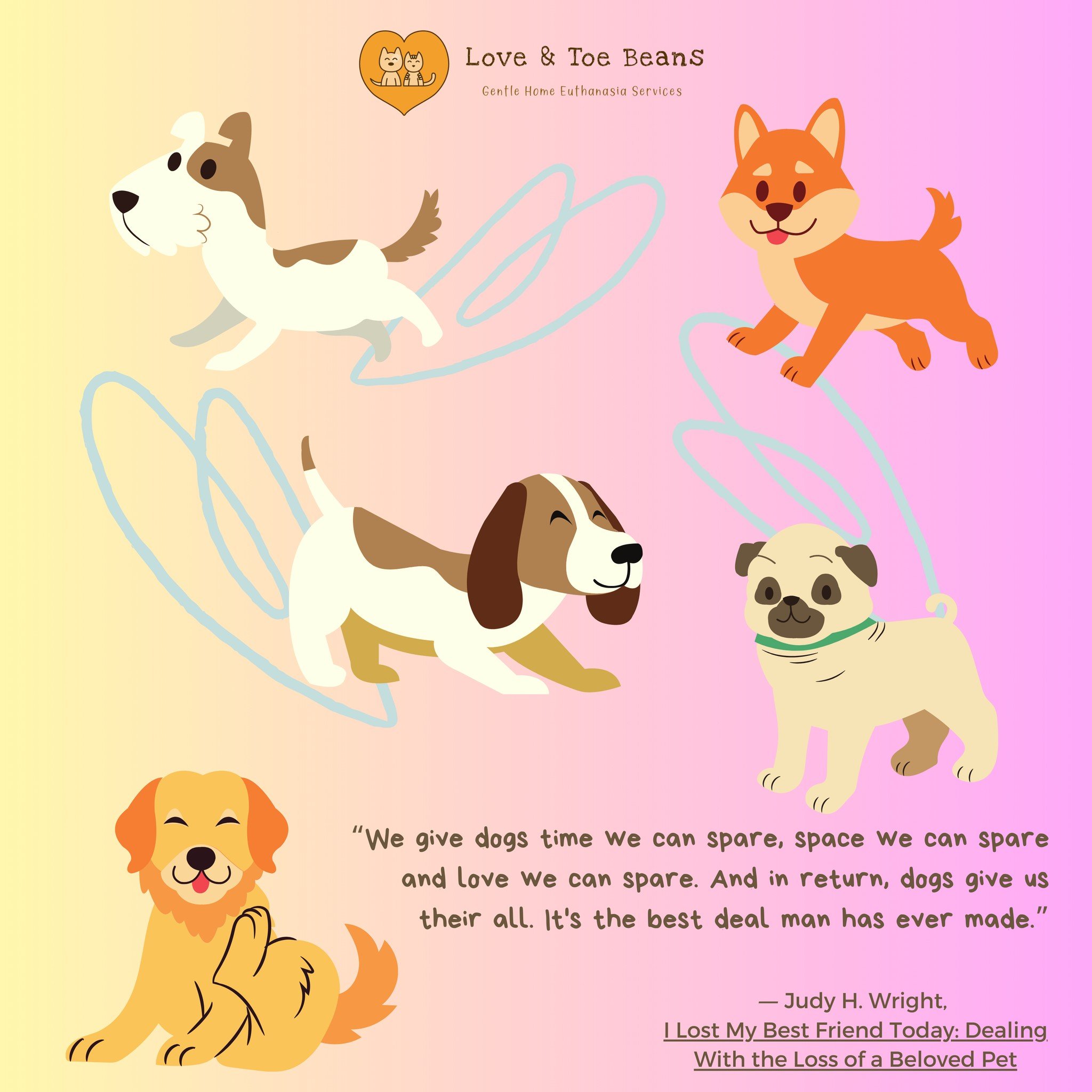 🐾💛💝