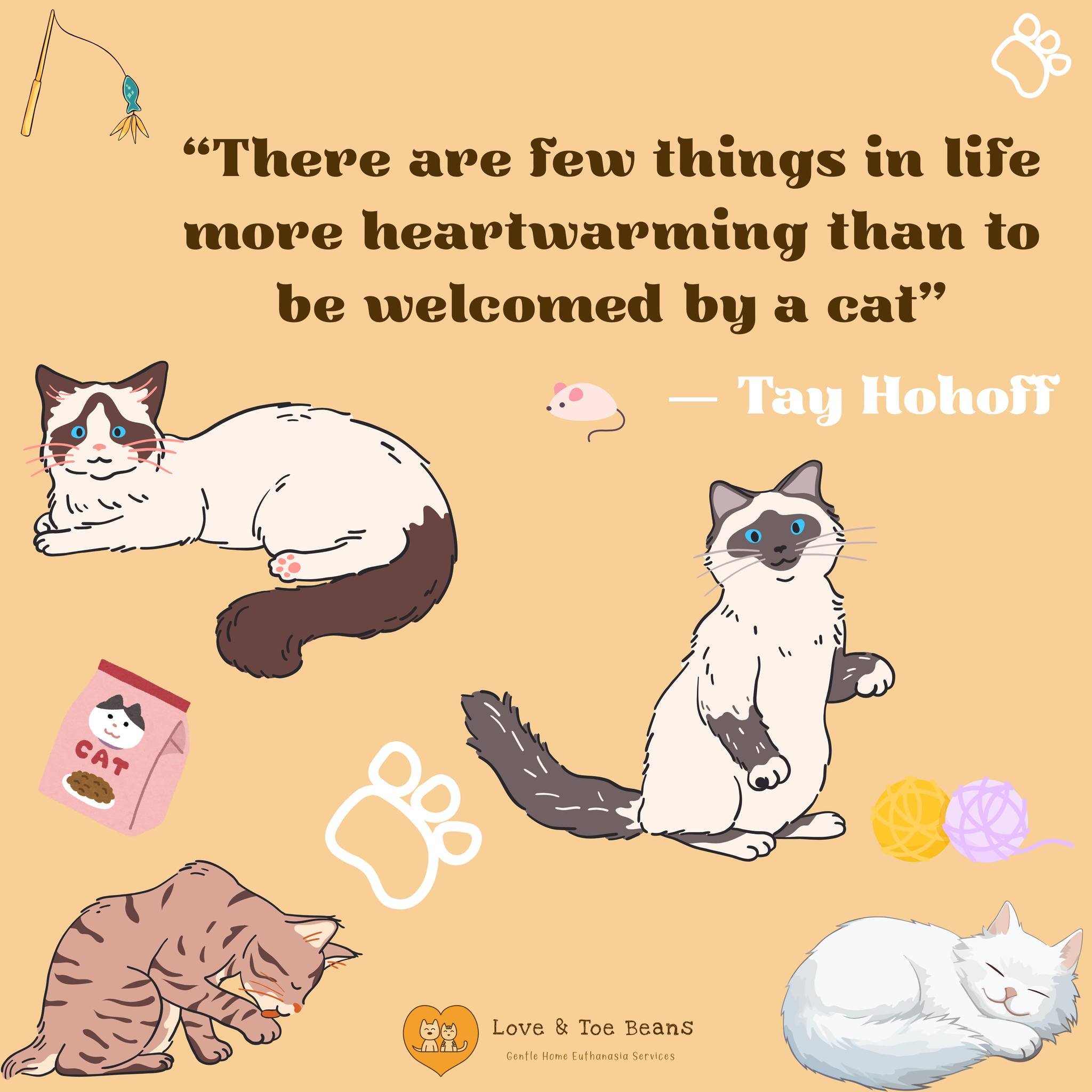 So very true 🐱💛

 #LoveAndToeBeans #PetLovers #LoveYourPets #FurEverLove #BrisbanePets #CatsOfInstagram #PurrfectMoments #CatLovers #BrisbaneCats #CatParents #catquotes