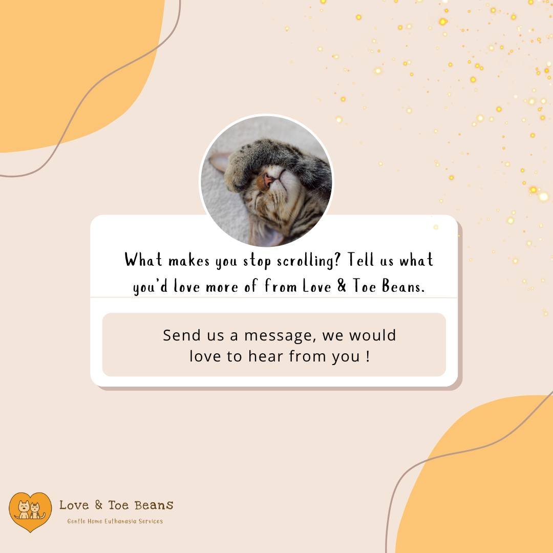 Your feedback means the world to us! 💛 We're here to support you and your pets, and we want to make sure our posts are giving you the content you actually want to see. 

Take a moment to let us know how we're doing&mdash;and what you'd love to see m