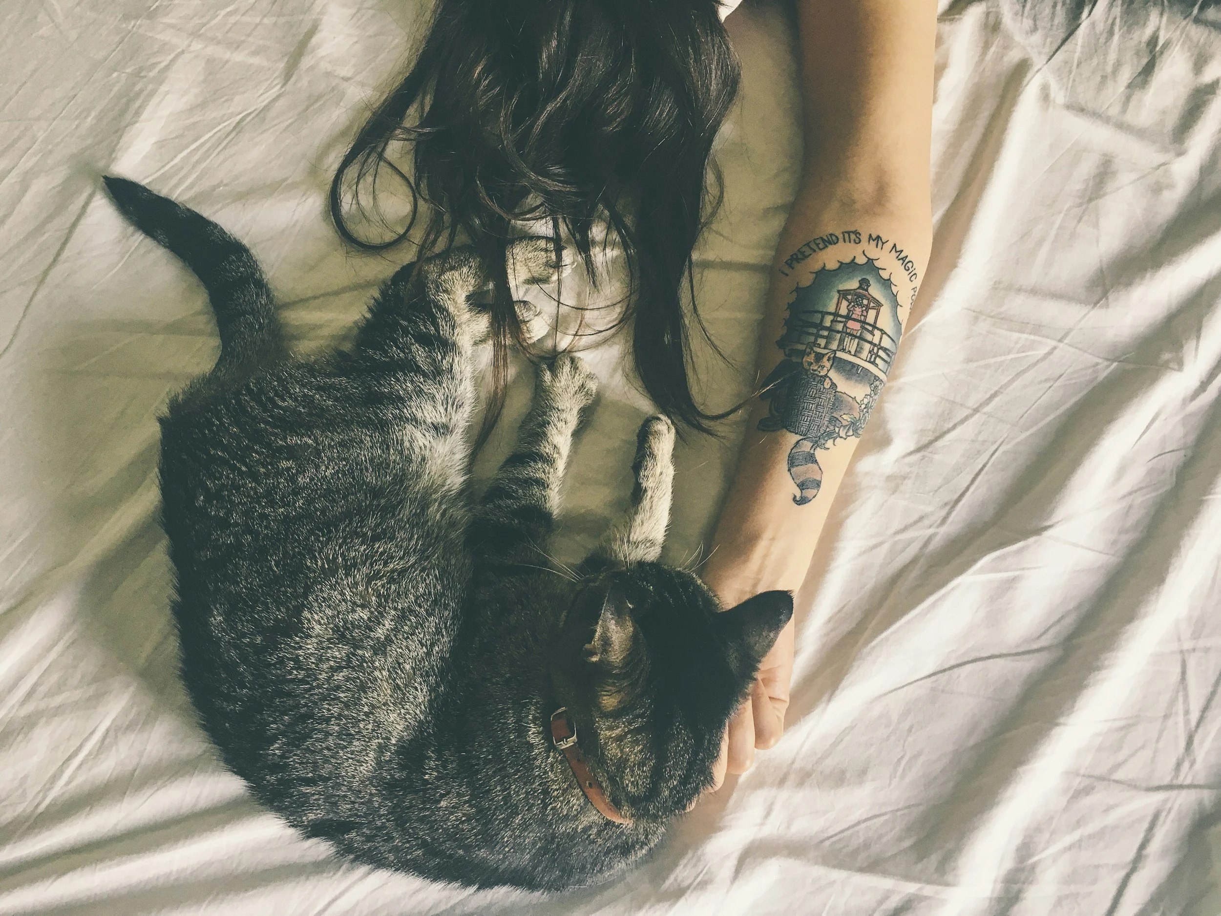 Is It Normal to Grieve a Pet More Than a Person?
