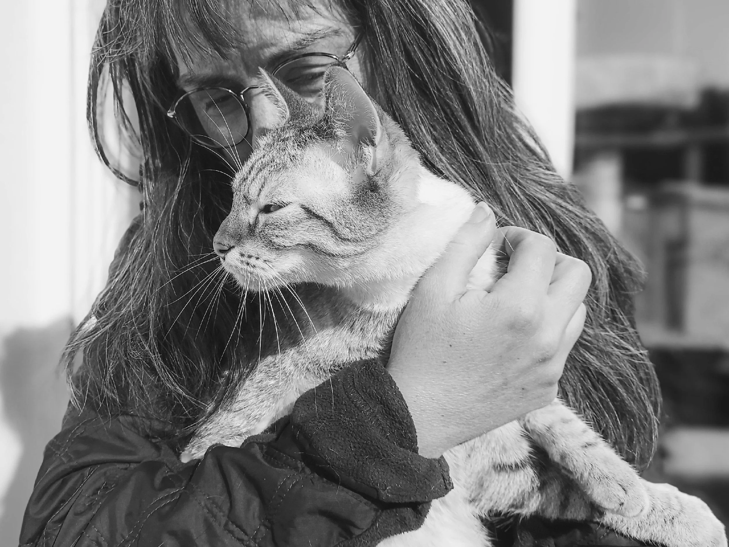 💛 Understanding the Emotional and Scientific Truth of Pet Loss 