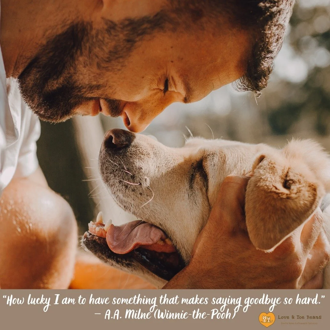 💛 &ldquo;How lucky I am to have something that makes saying goodbye so hard.&rdquo; &mdash; A.A. Milne, Winnie-the-Pooh

Saying goodbye to a beloved pet is one of the hardest moments we face, but it&rsquo;s also a reflection of just how deeply they 