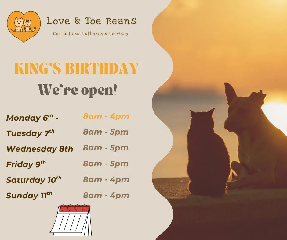 🐾 Public Holiday Hours

📅 King&rsquo;s Birthday Monday 6th October
We&rsquo;ll be open from 8:00 AM &ndash; 4:00 PM to support you and your beloved pets 💛

If you&rsquo;d like to book an appointment, you can do so online here: www.loveandtoebeans.