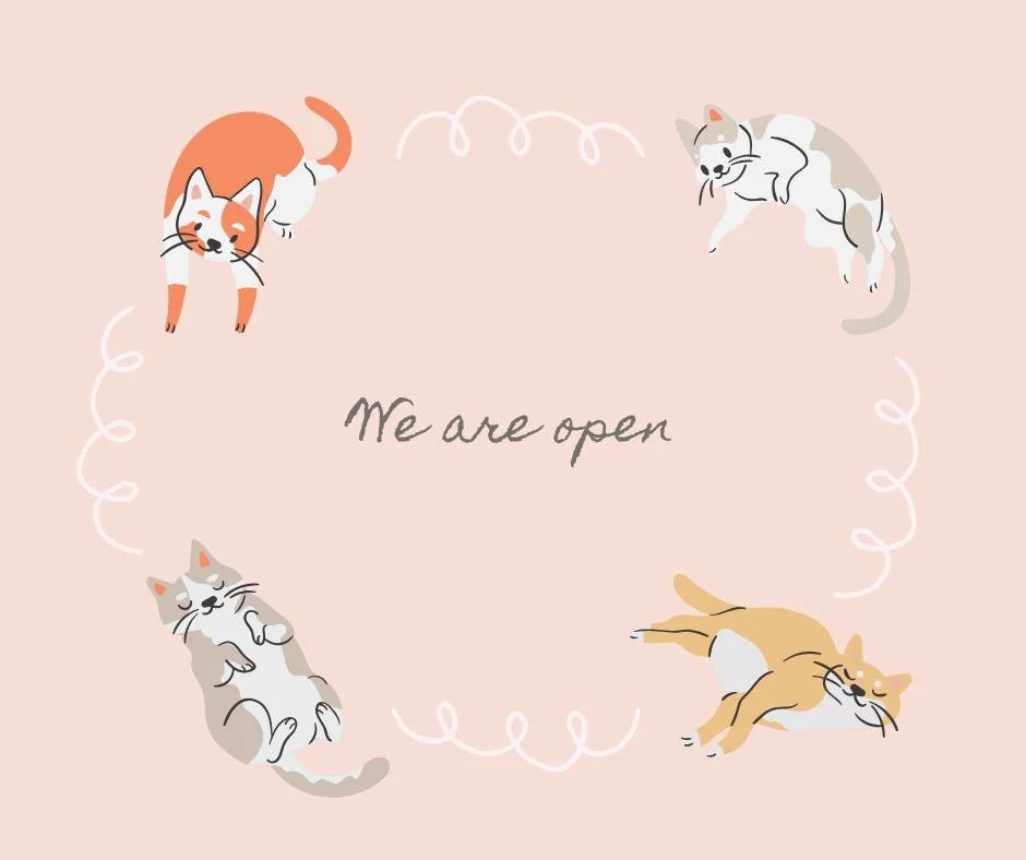 🐾 We&rsquo;re Open Again 🐾

We&rsquo;re back from our break and ready to go. As of 8am this morning, we&rsquo;re open and here to help the cats, dogs, and their loving families across the Greater Brisbane region.

Thanks for your patience while we 