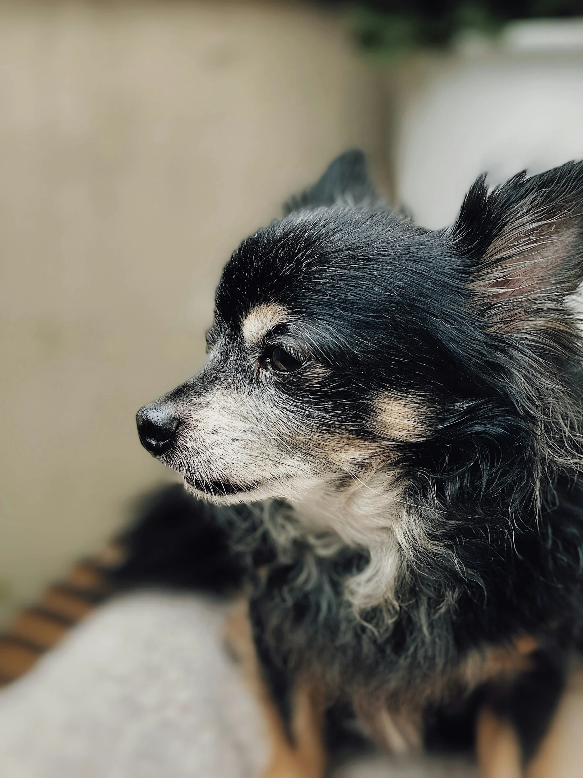 🐾 Frequently Asked Questions - About Love &amp; Toe Beans 