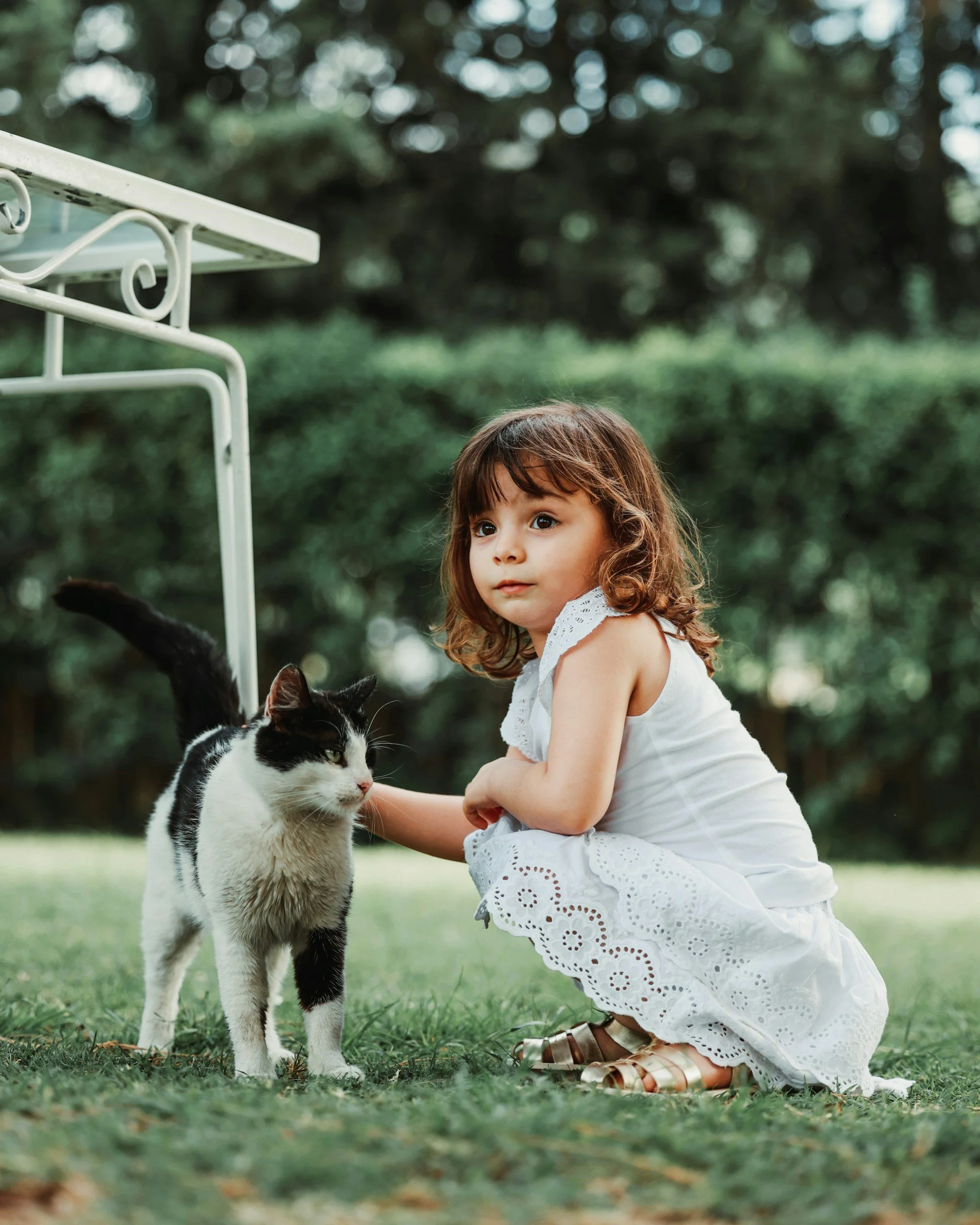 🧸 Saying Goodbye with Love: Helping Toddlers and Preschoolers Understand When a Pet Dies