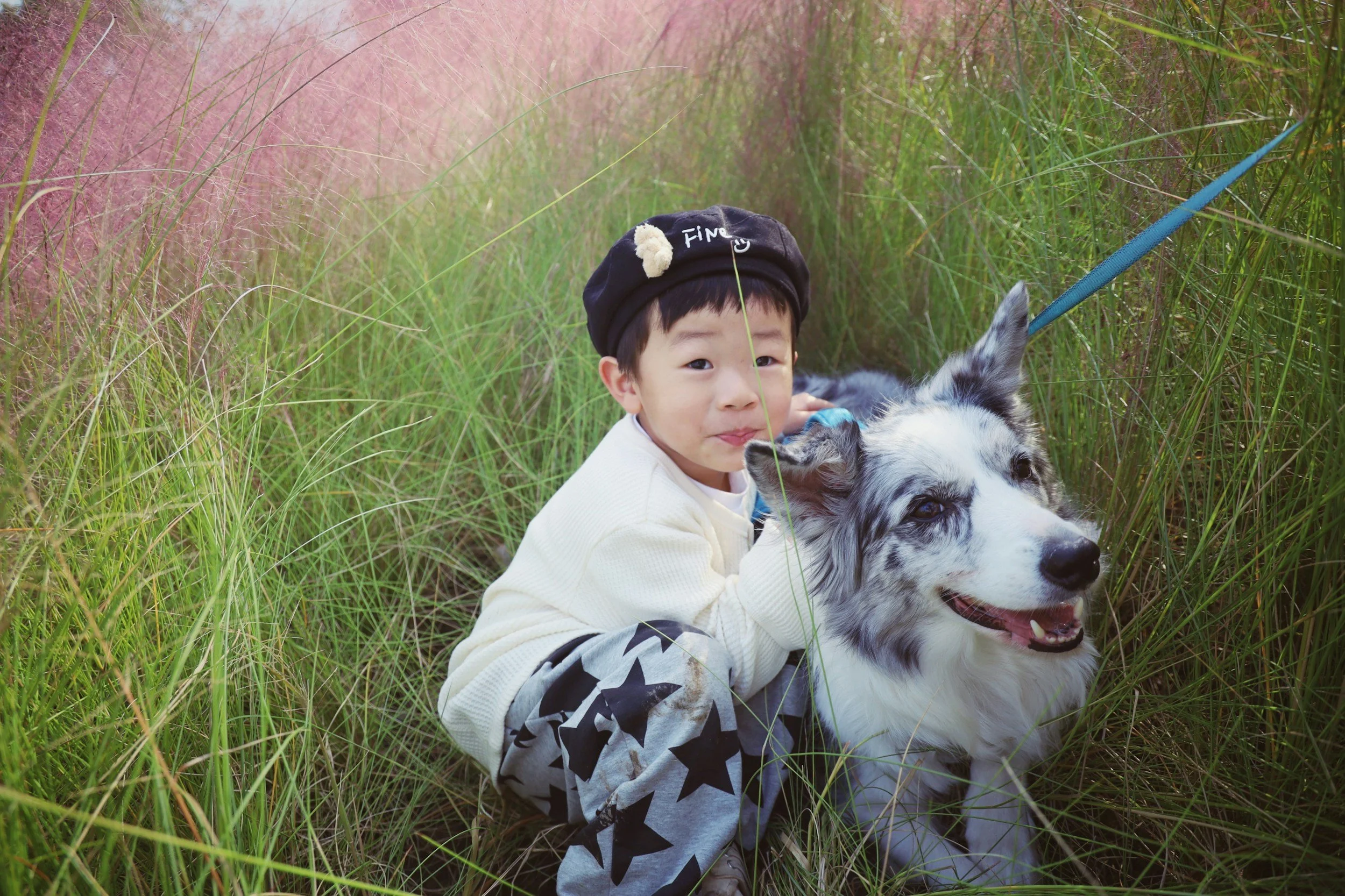 🧸 Saying Goodbye with Love: Helping Toddlers and Preschoolers Understand When a Pet Dies