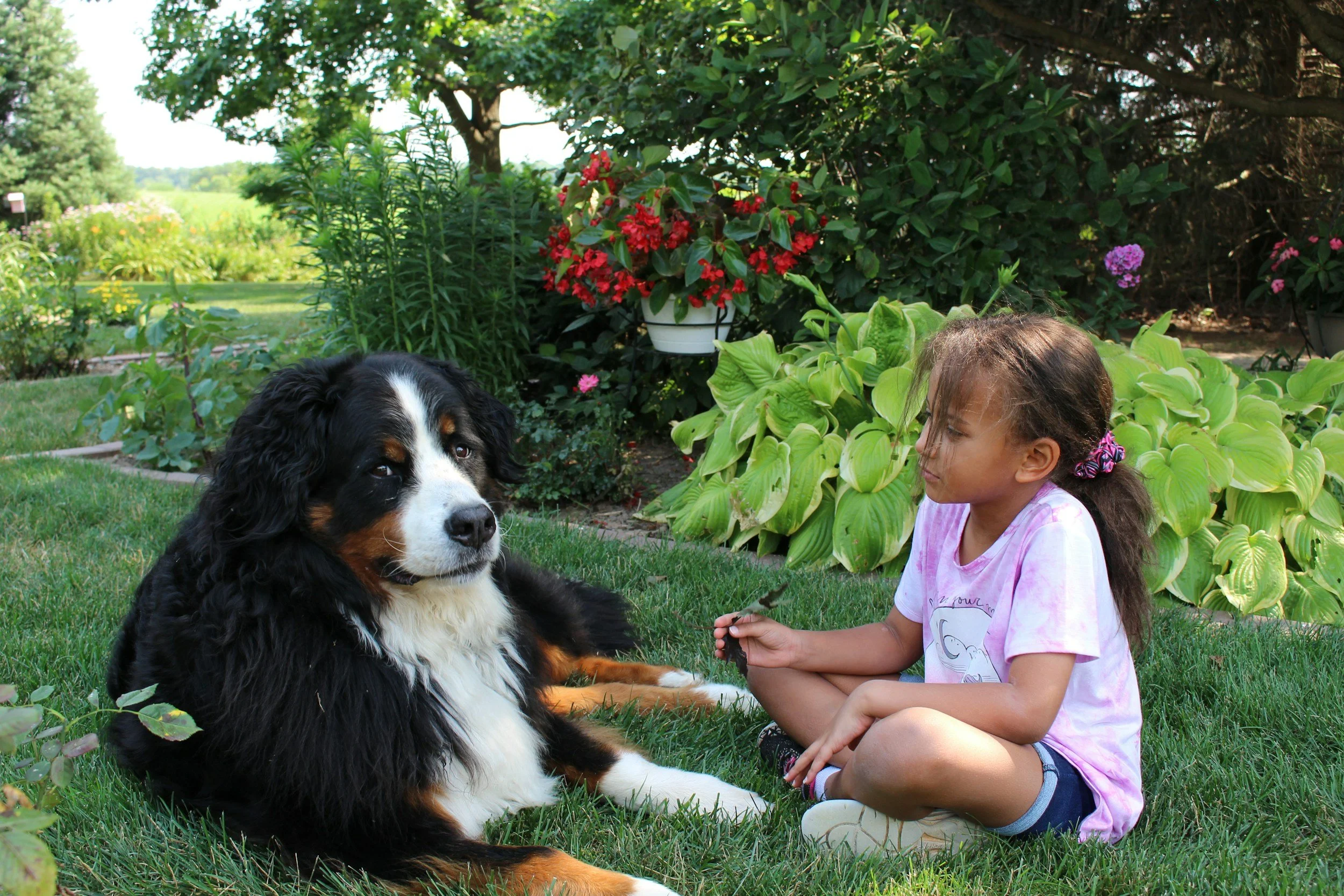 🐾 Helping Primary School Age Children Through Pet Loss: Honest Conversations, Big Feelings and Finding a Way Through