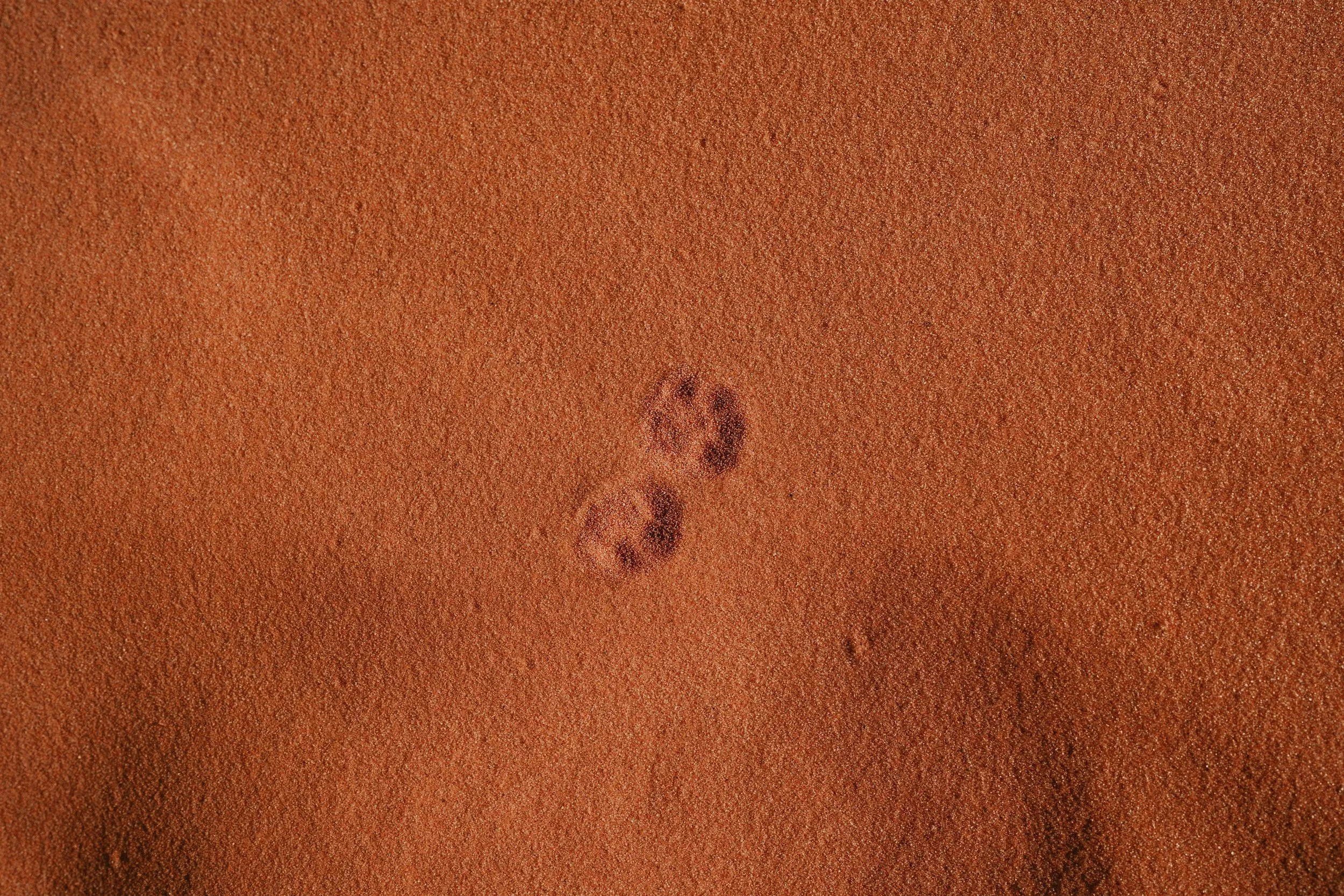 Weekday Appointments