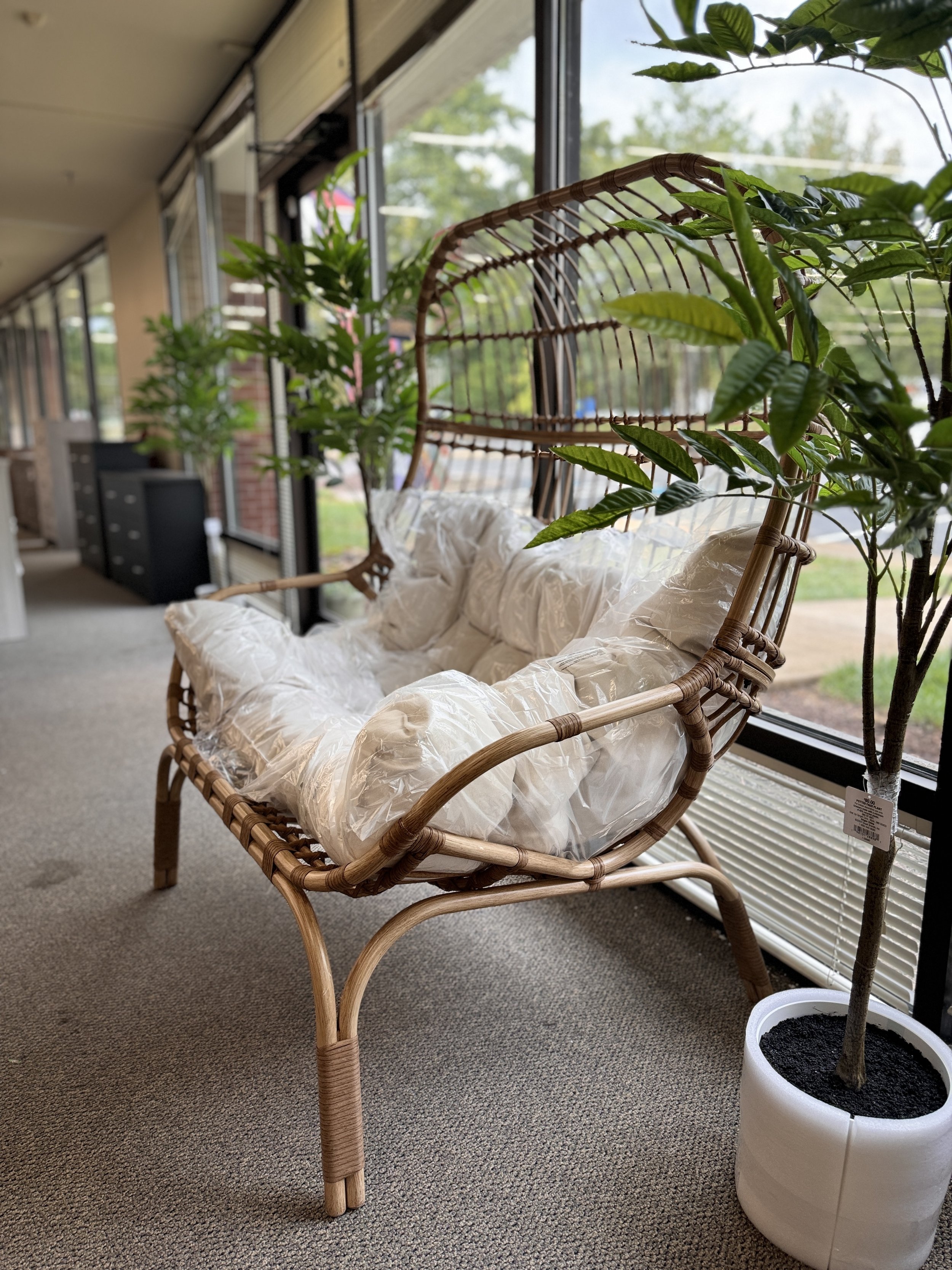 Bunnings cane injustificable furniture