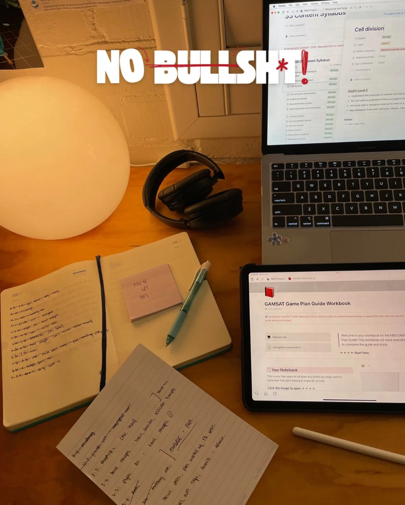 Our guides are built to solve the GAMSAT&rsquo;s biggest challenge: feeling scattered and unsure about where to begin.

We get all our students to start by zooming out and building their bigger picture first. 

What this looks like? 

A diagnostic te