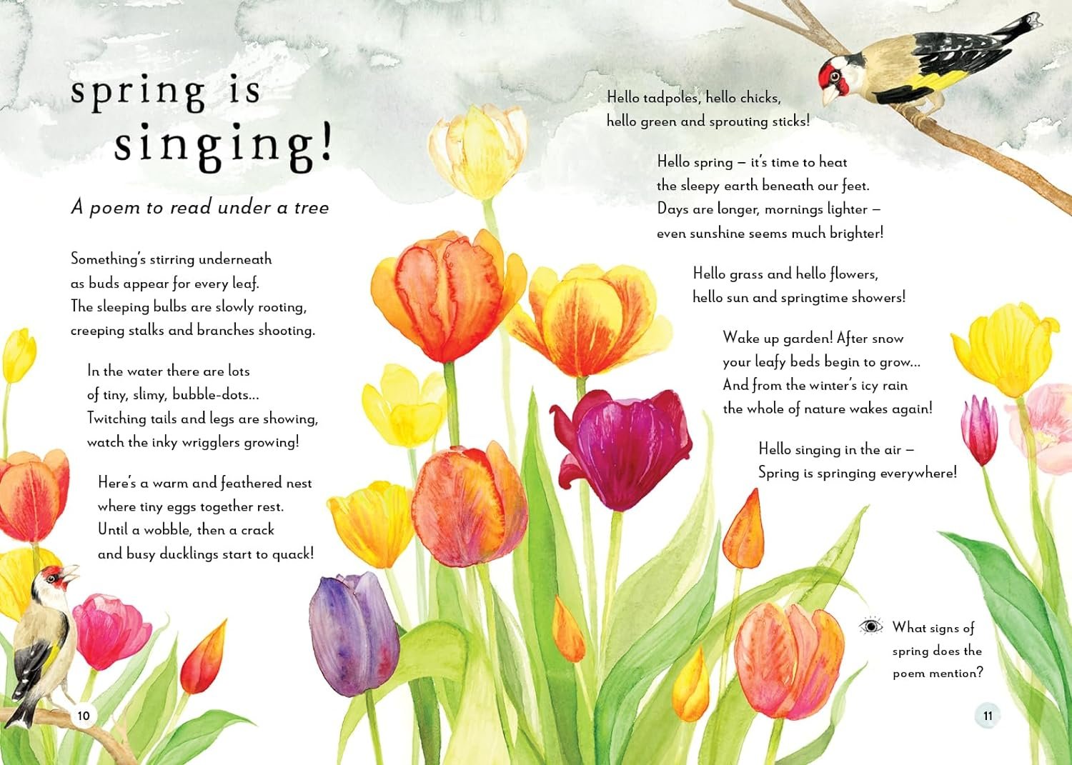 A Field Guide to Spring_excerpt 4_Spring is Springing.jpg
