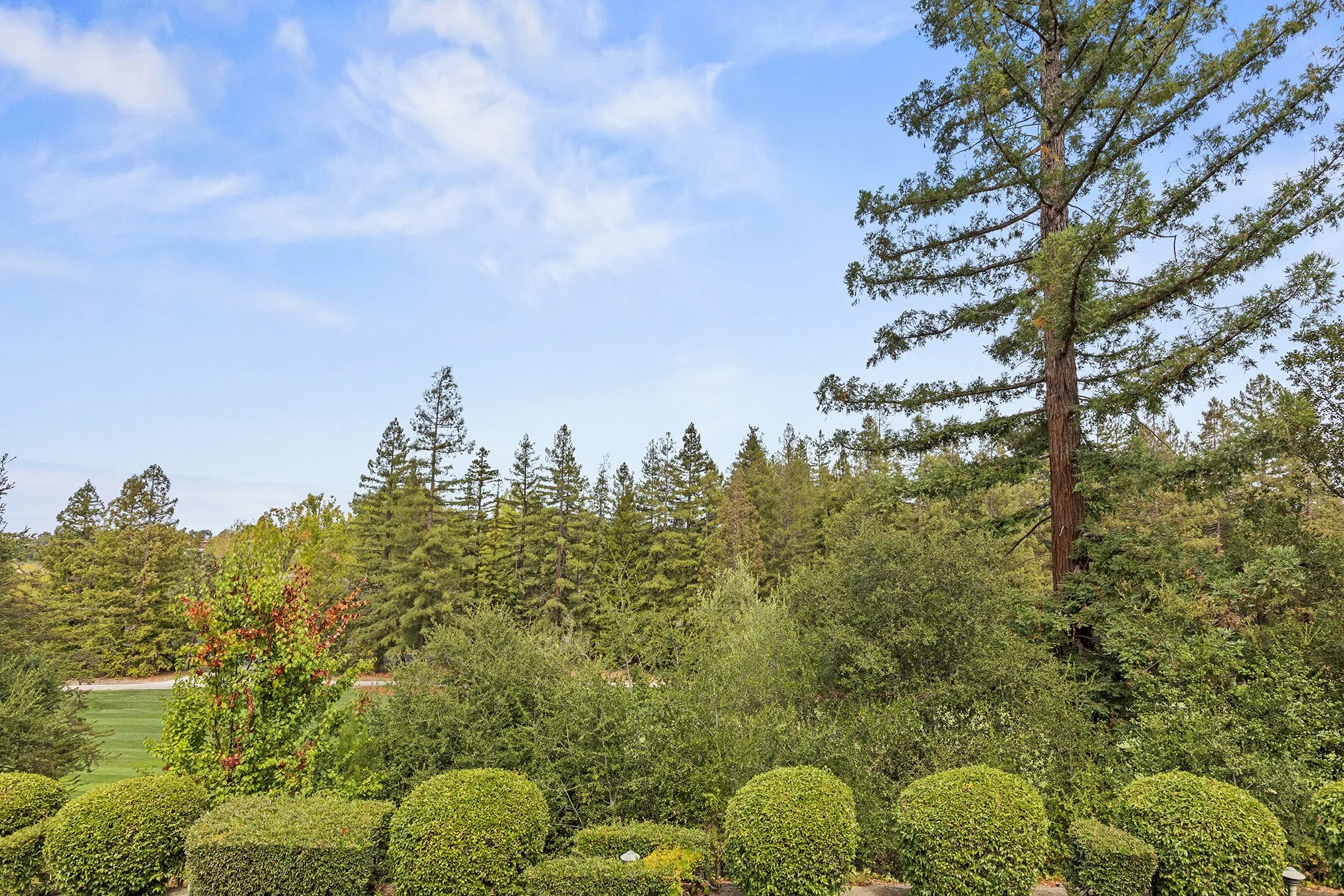 1270SandHill View.jpg