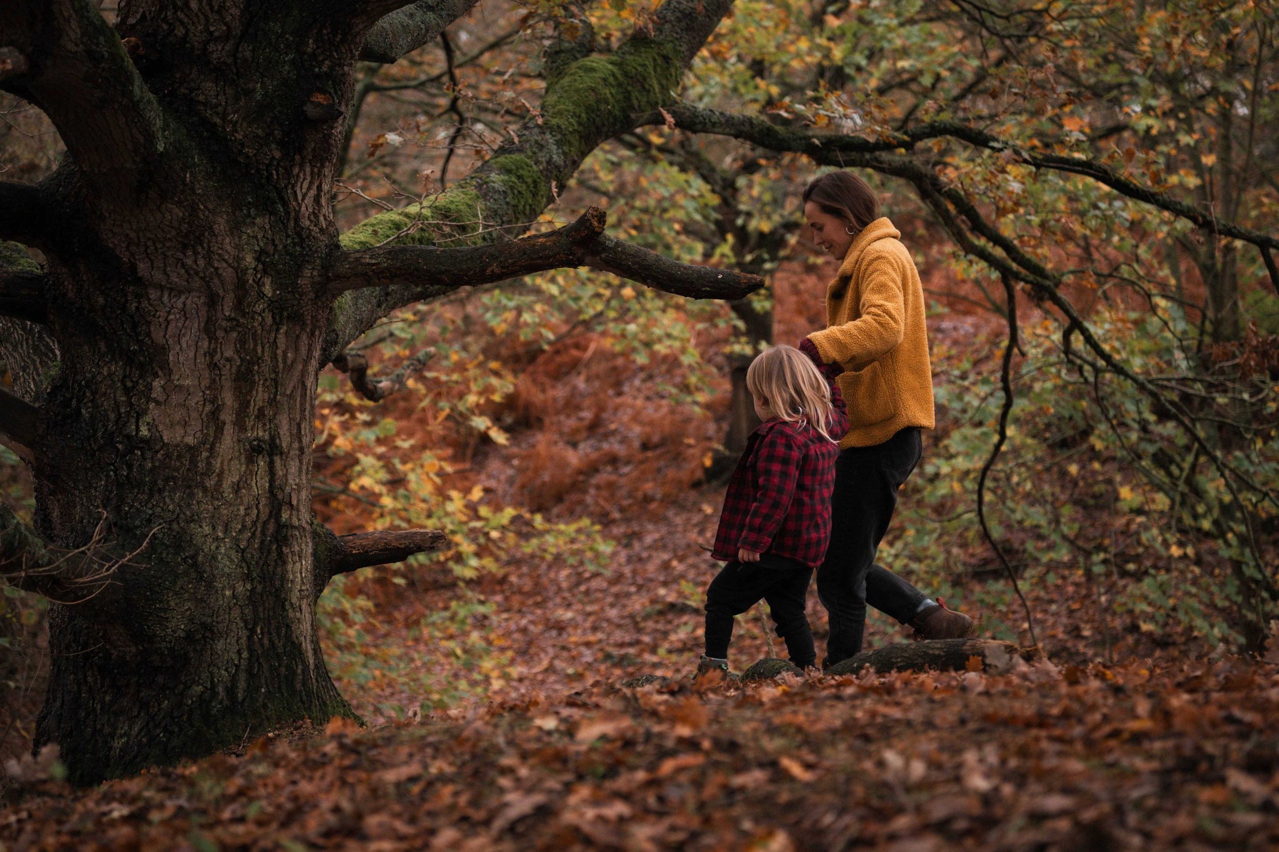 Parent and child walking in an autumn woodland