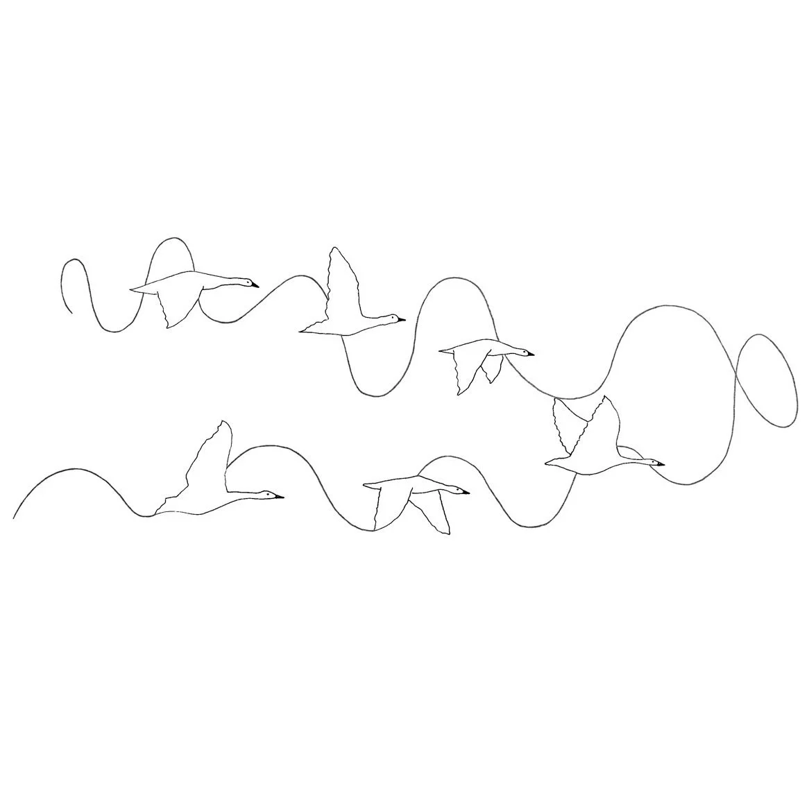 A black and white topographical map with concentric circles representing elevation lines.