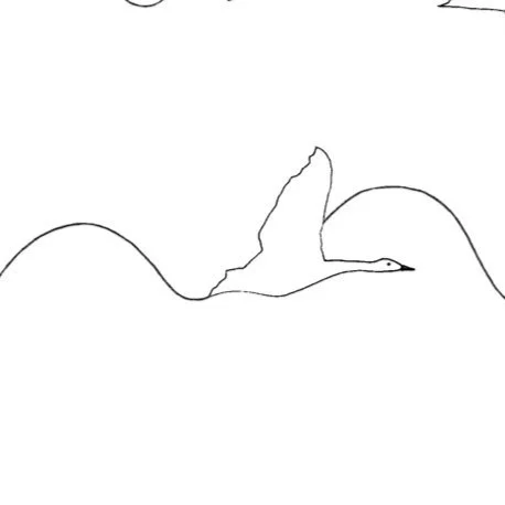 Line drawing of a swan with its wings raised and its head lowered.