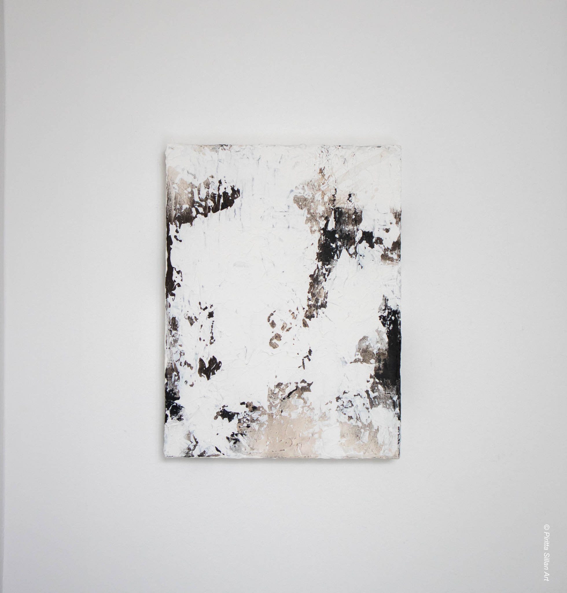 mn_canvas_tobelong_produkt-2.jpg