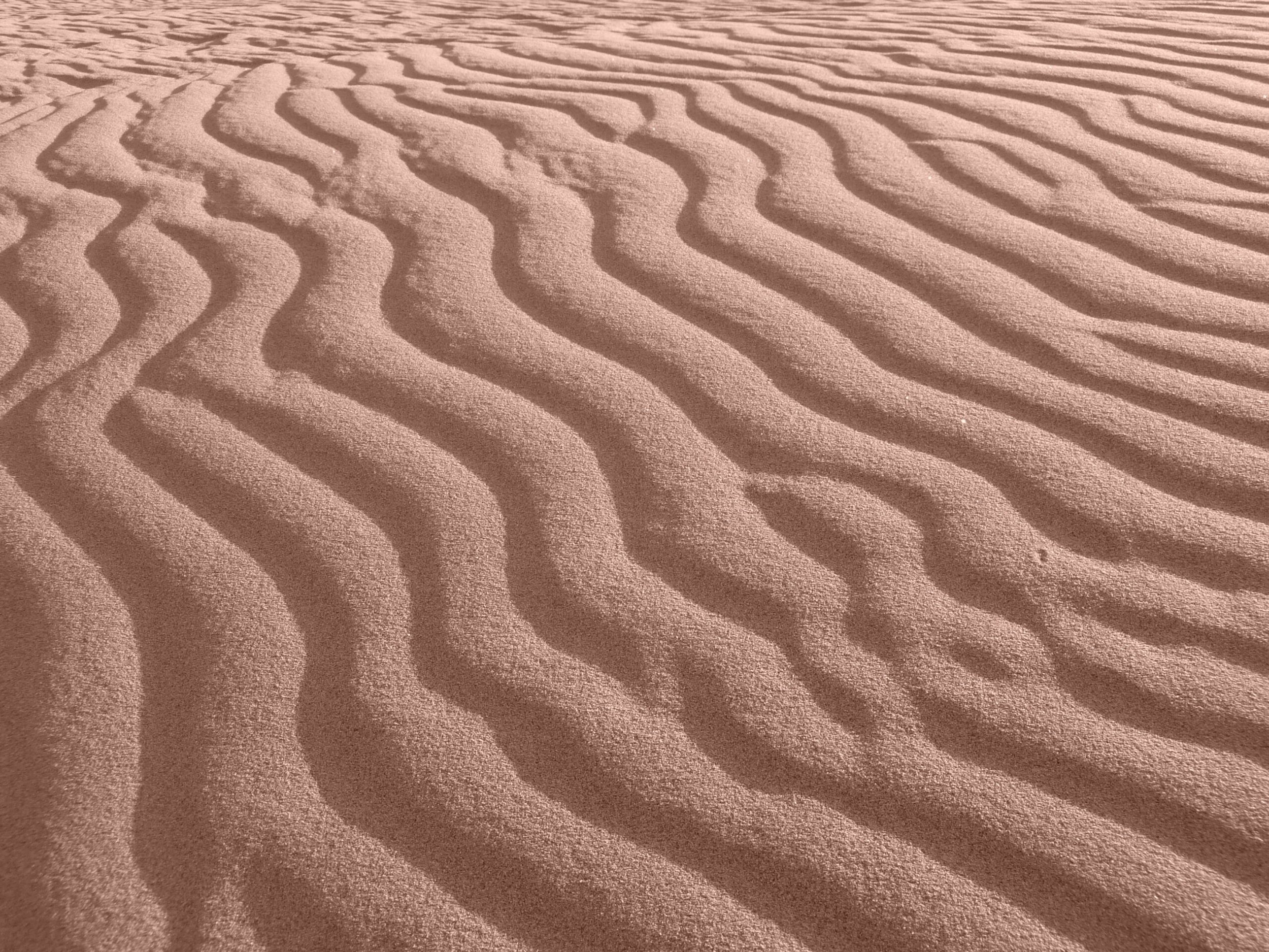 Standing Firm on Shifting Sands