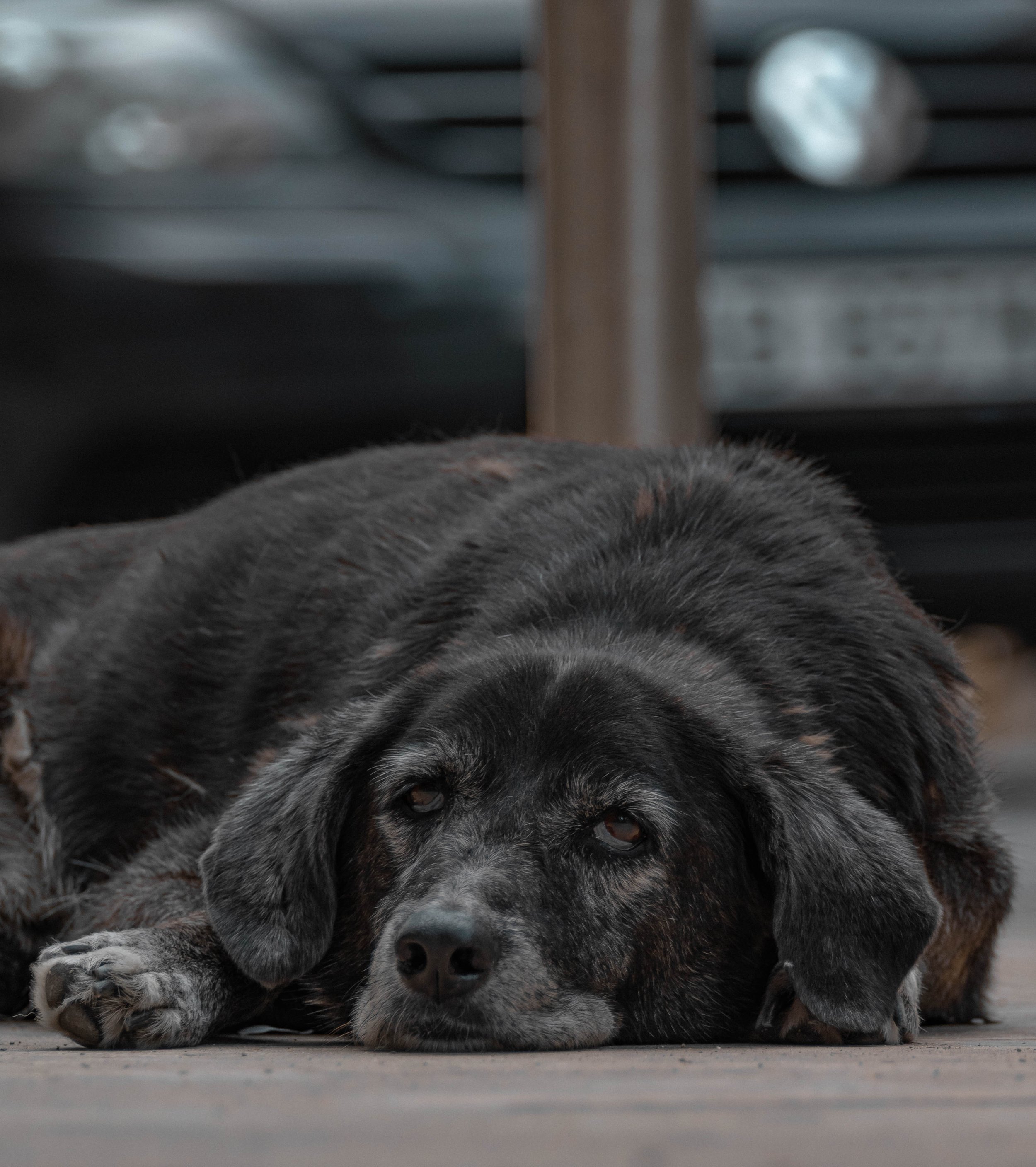 Resting in the Streets