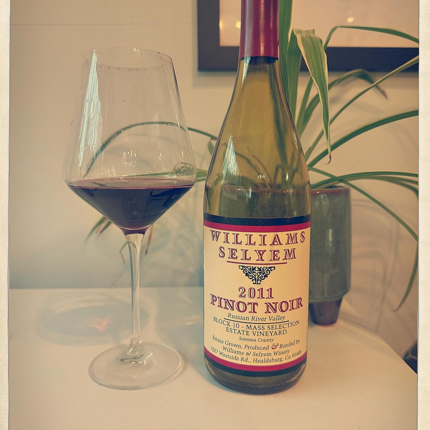 Is there anything better than decade-plus aged RRV Pinot Noir from Williams Selyem @williamsselyemwinery (aside from ABC)!? 

First time trying the 2011 &ldquo;Block 10 - mass selection&rdquo;, which was their 4th year of bottling this, an estate ble