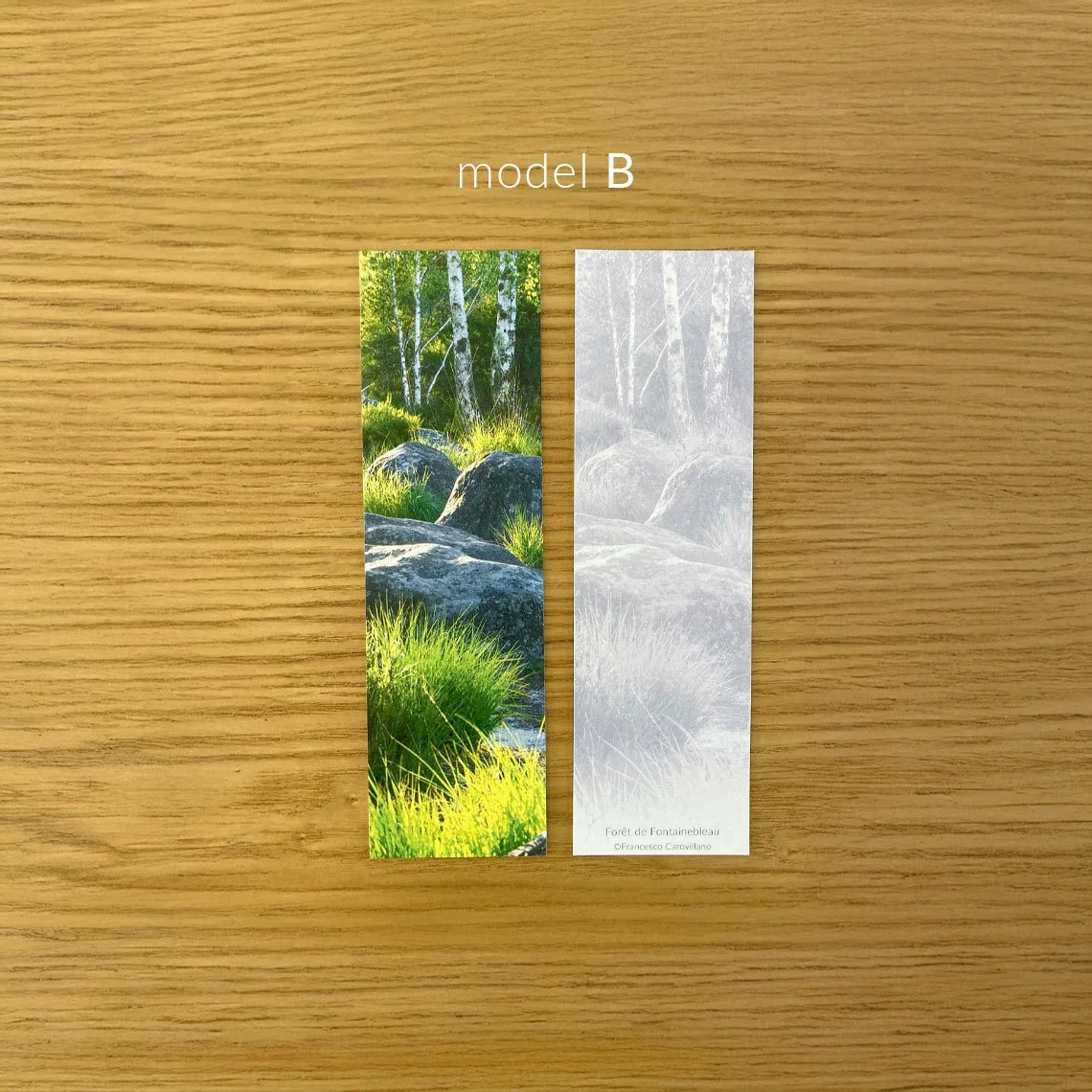 bookmark_B_02_info.jpg